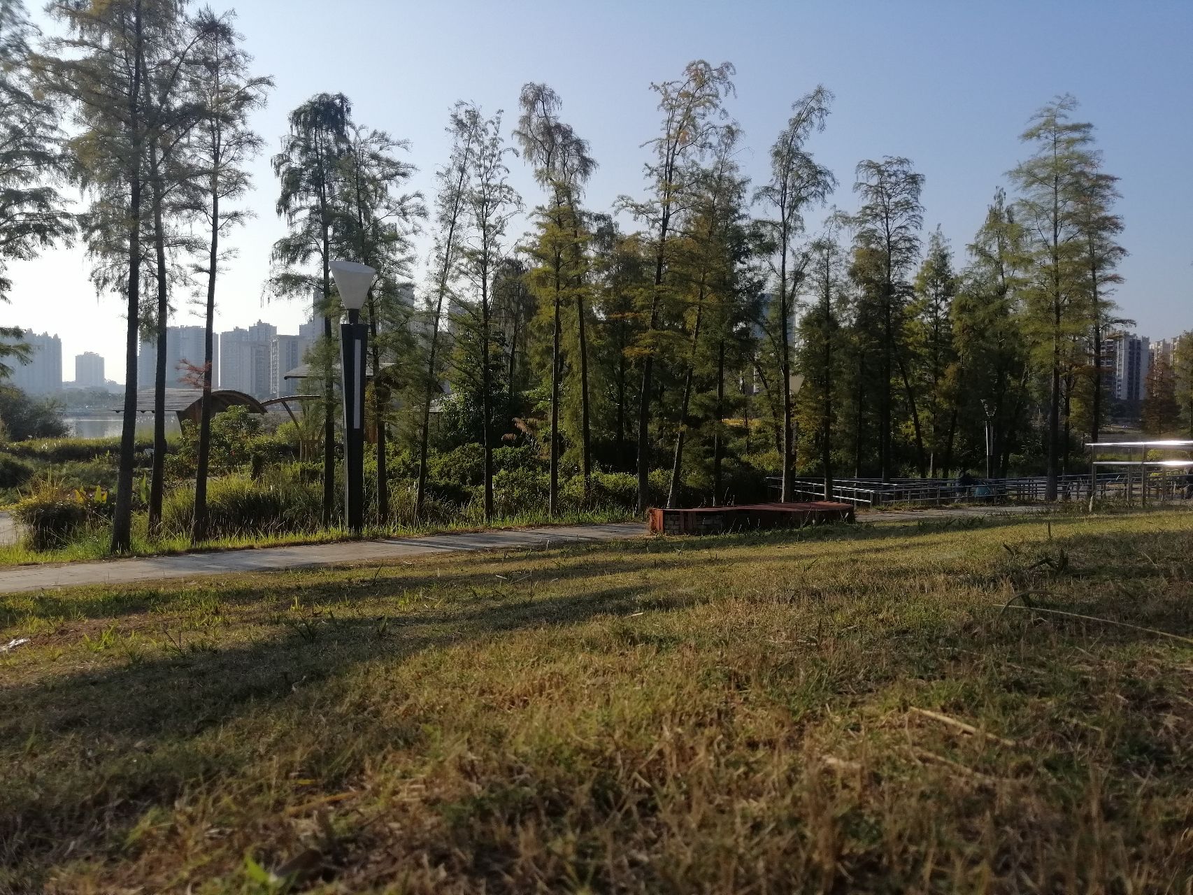 苍海公园旅行图片 2