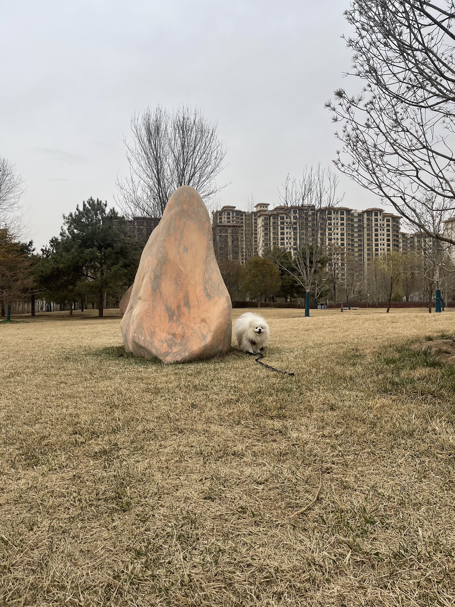 新城公园旅行图片 3