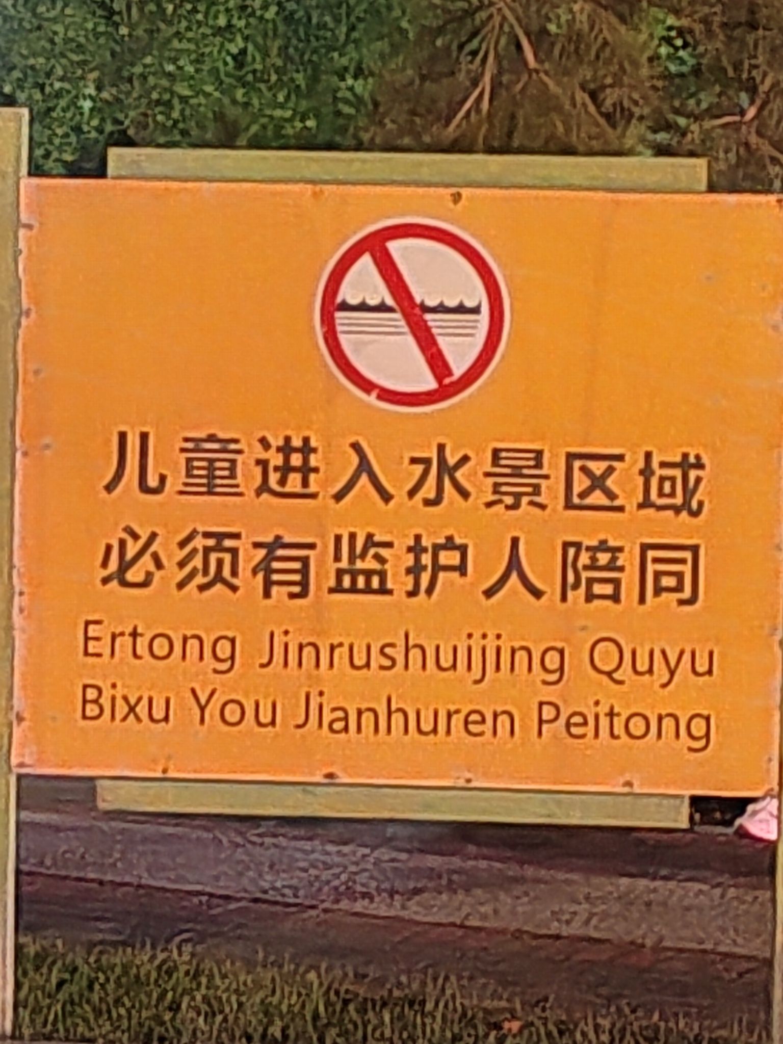 新城公园旅行图片 3
