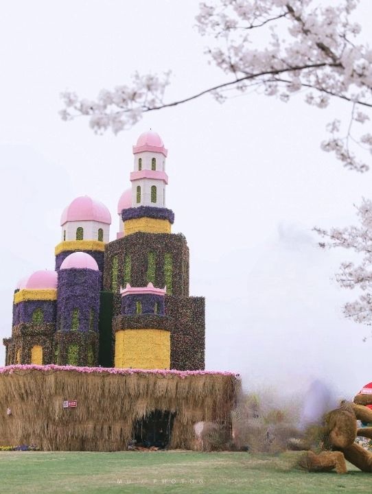 盐城大洋湾生态旅游景区旅行图片 2