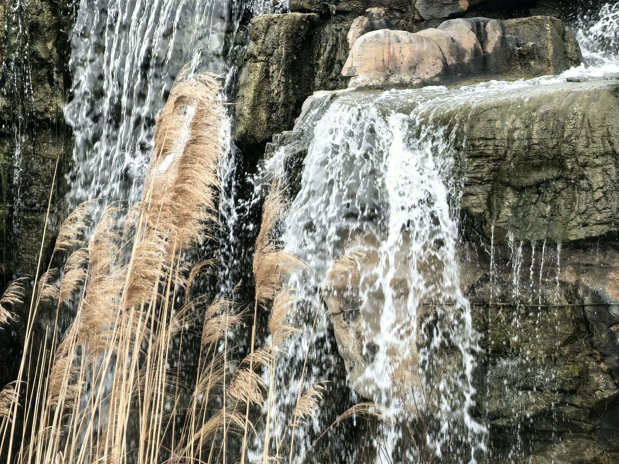 盐城大洋湾生态旅游景区旅行图片 3