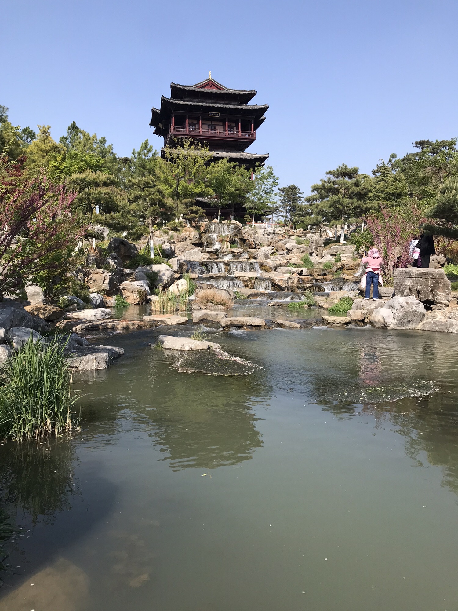 盐城大洋湾生态旅游景区旅行图片 3