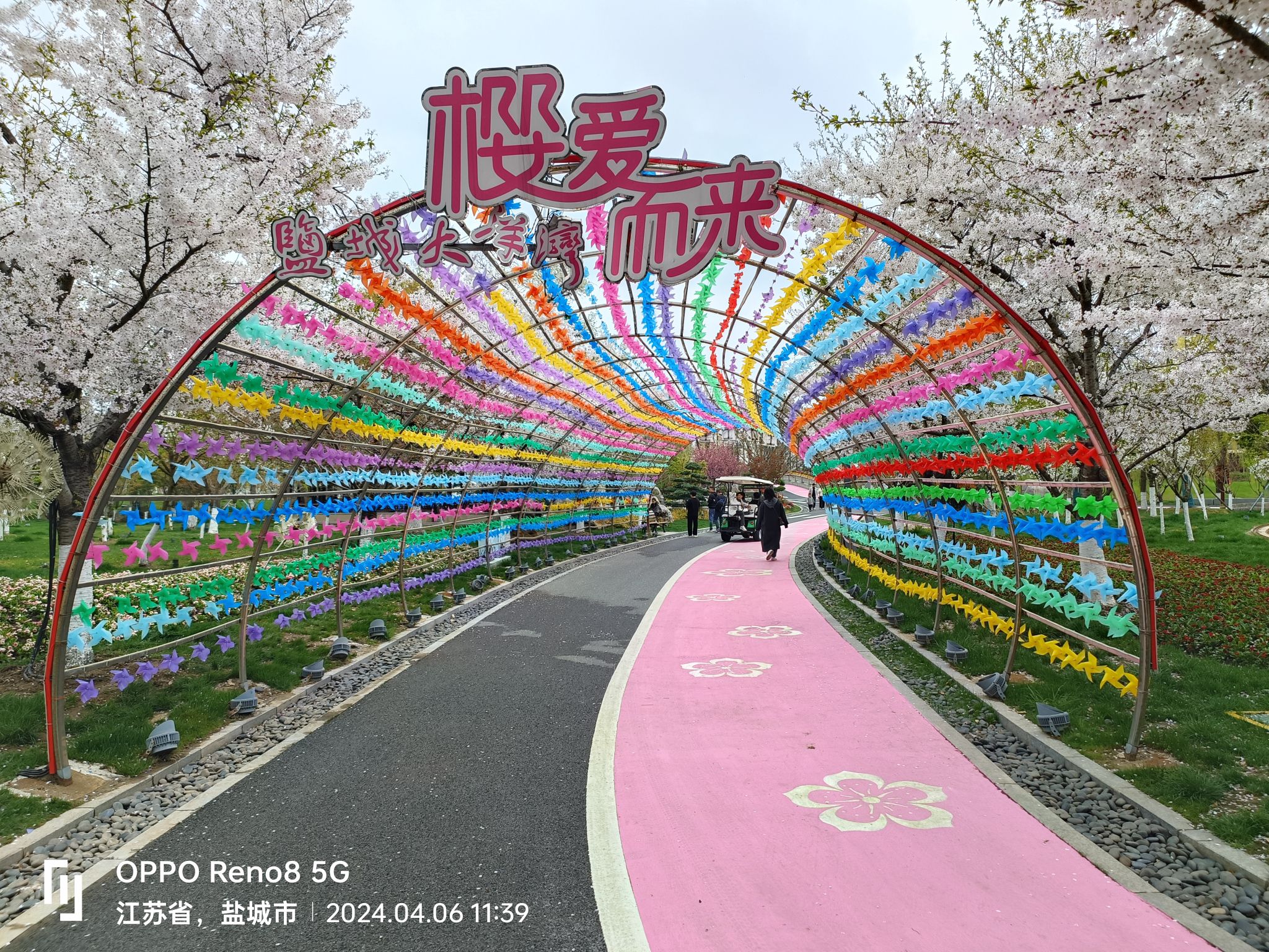 盐城大洋湾生态旅游景区旅行图片 3