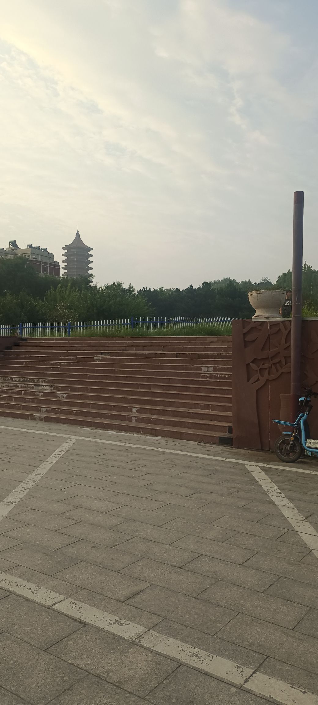 金山森林公园旅行图片 2