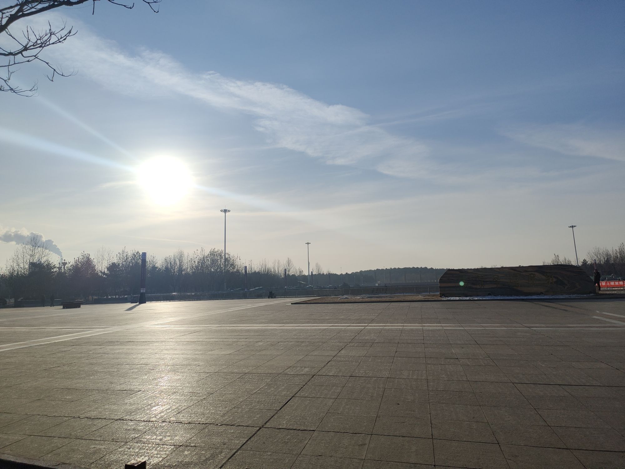 金山森林公园旅行图片 3