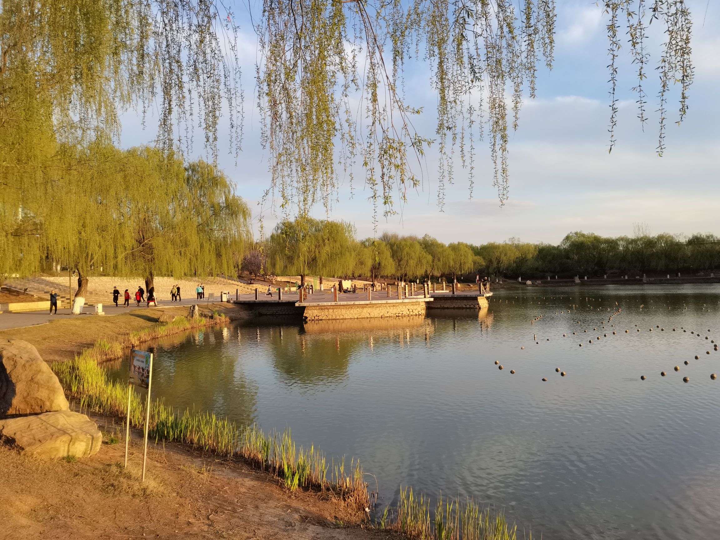 金山森林公园旅行图片 2