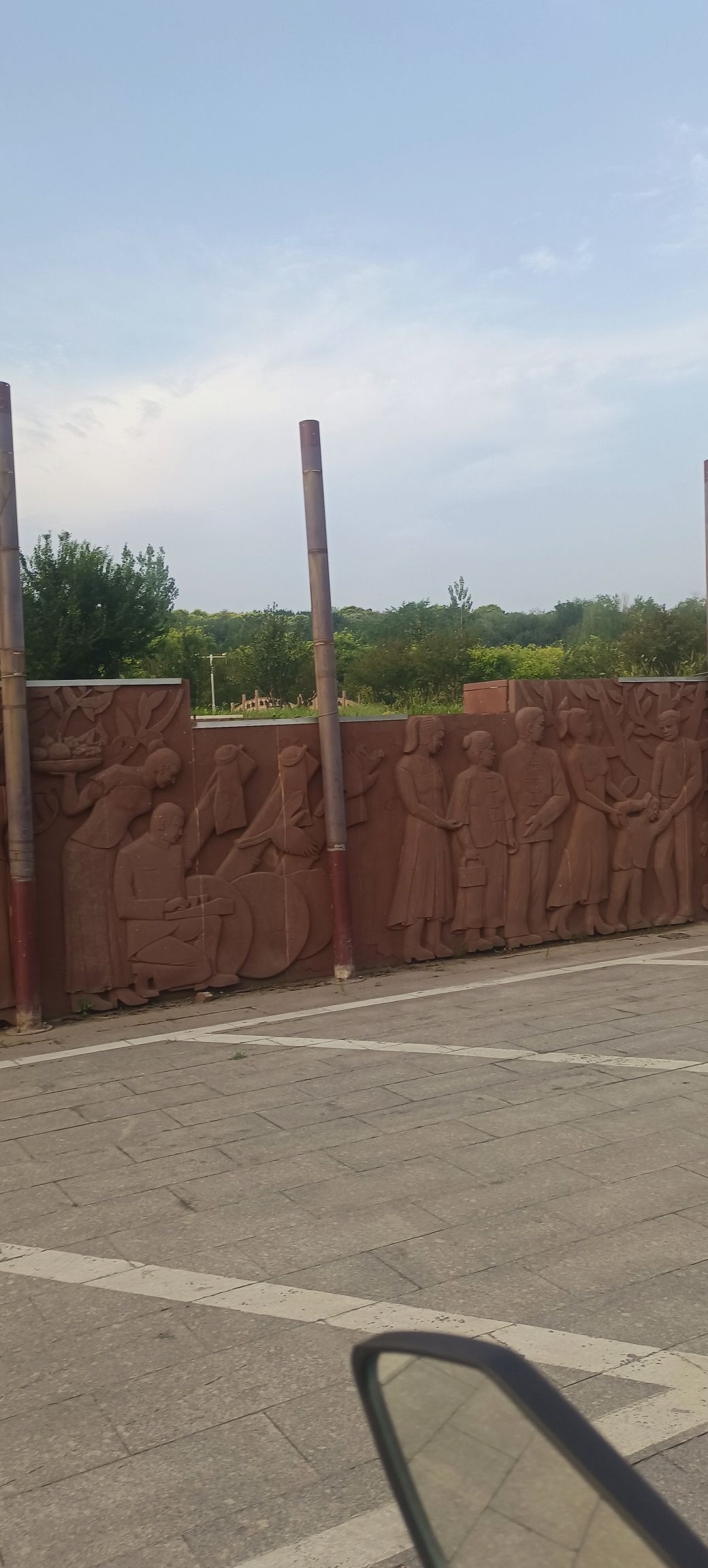 金山森林公园旅行图片 3