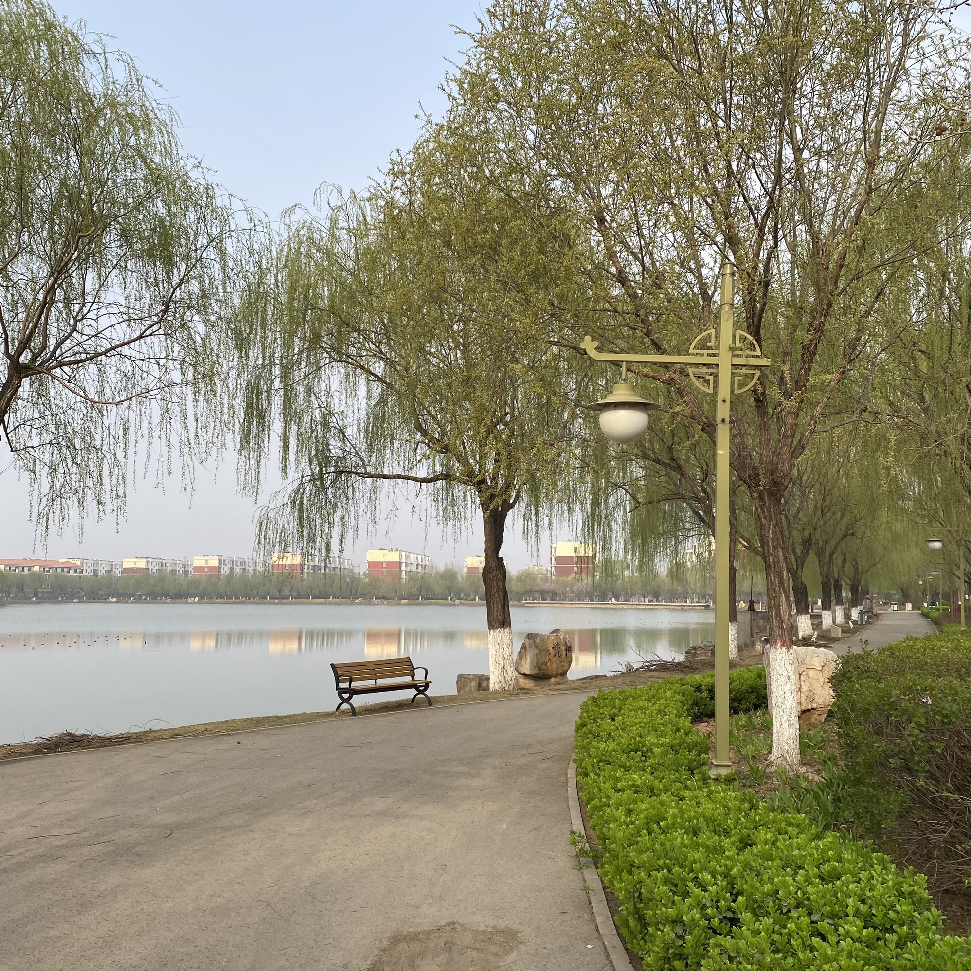金山森林公园旅行图片 3