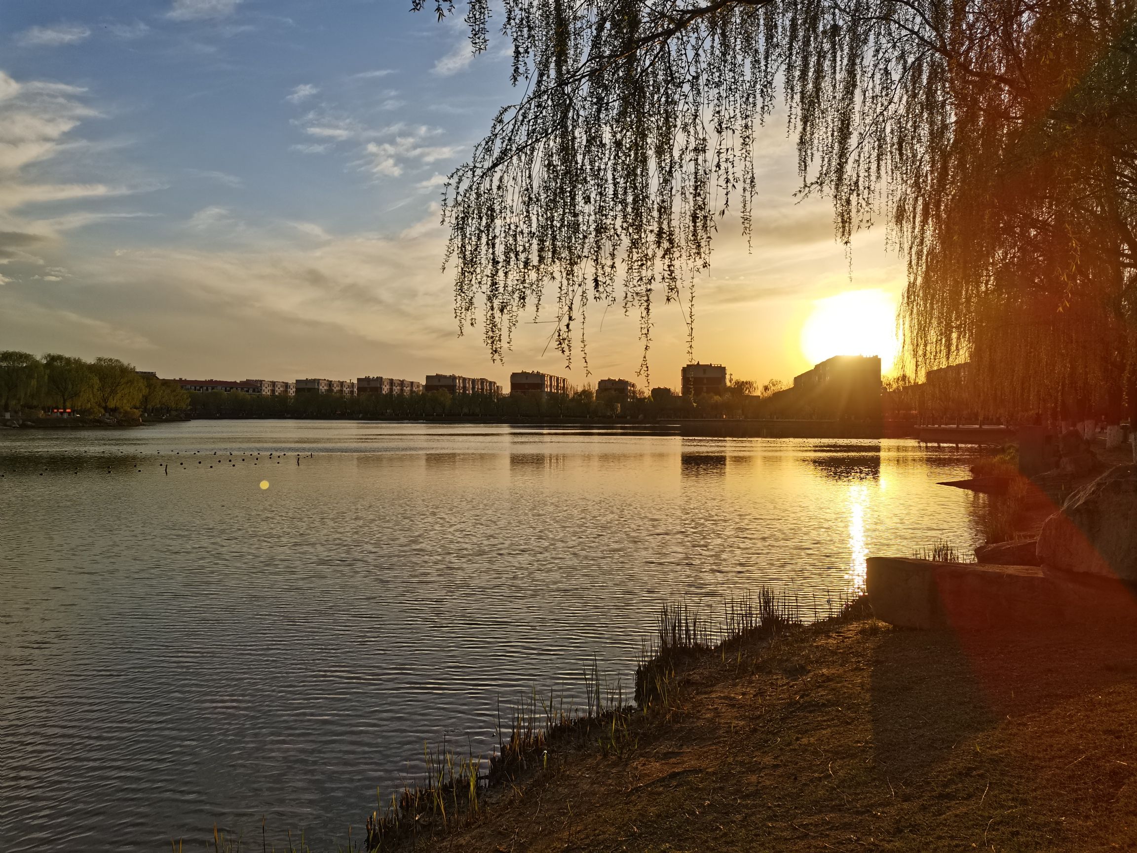 金山森林公园旅行图片 1