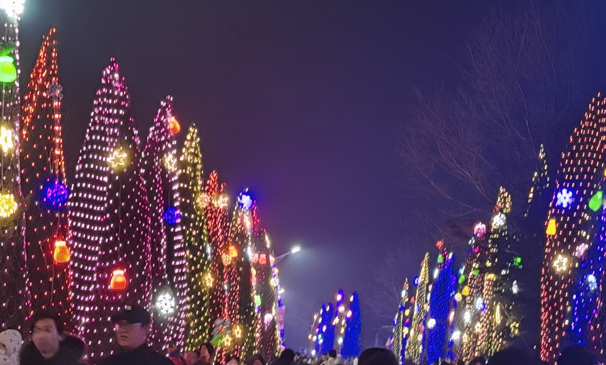 架旗山游乐园旅行图片 2