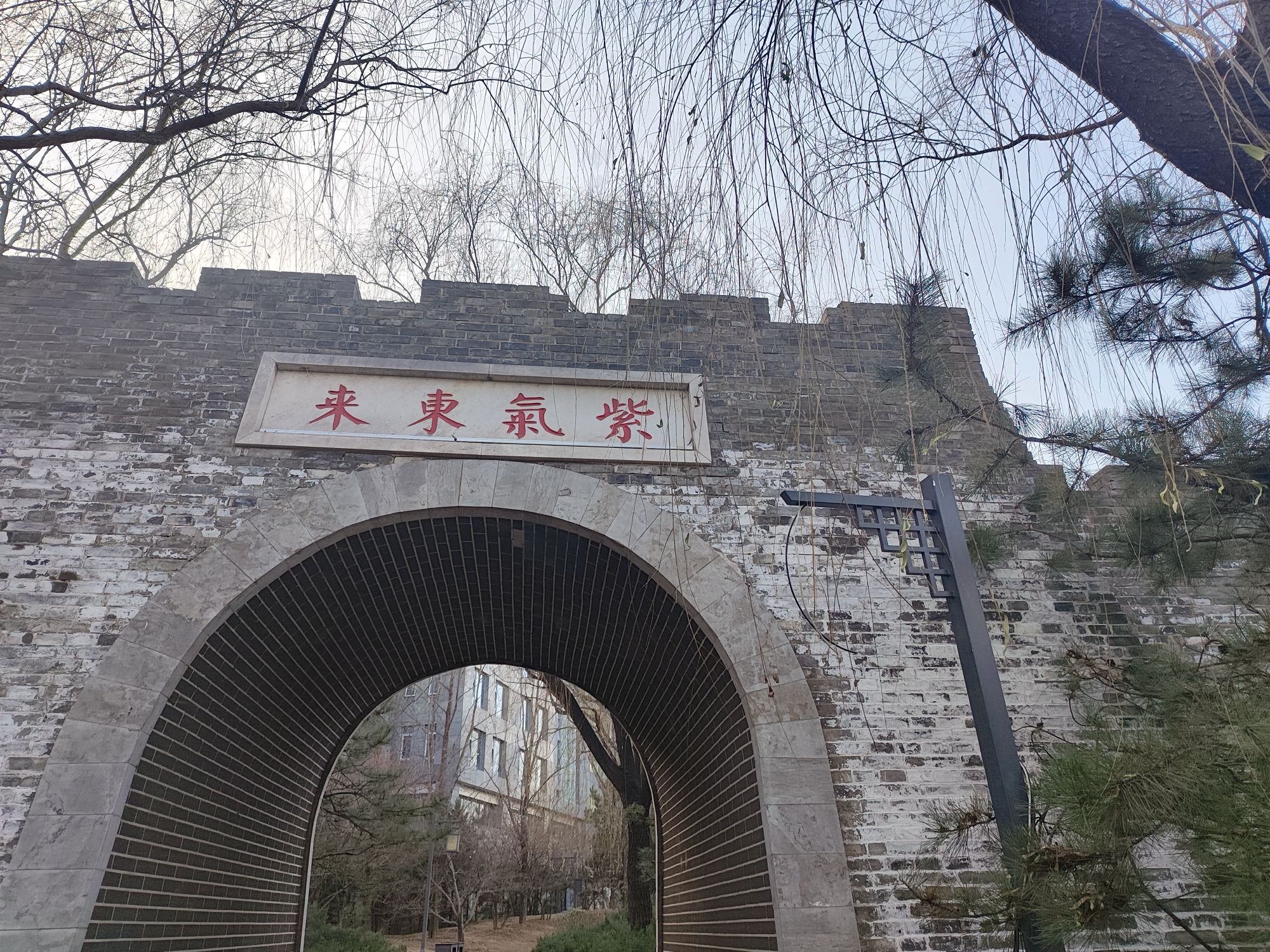 齐物潭旅行图片 1