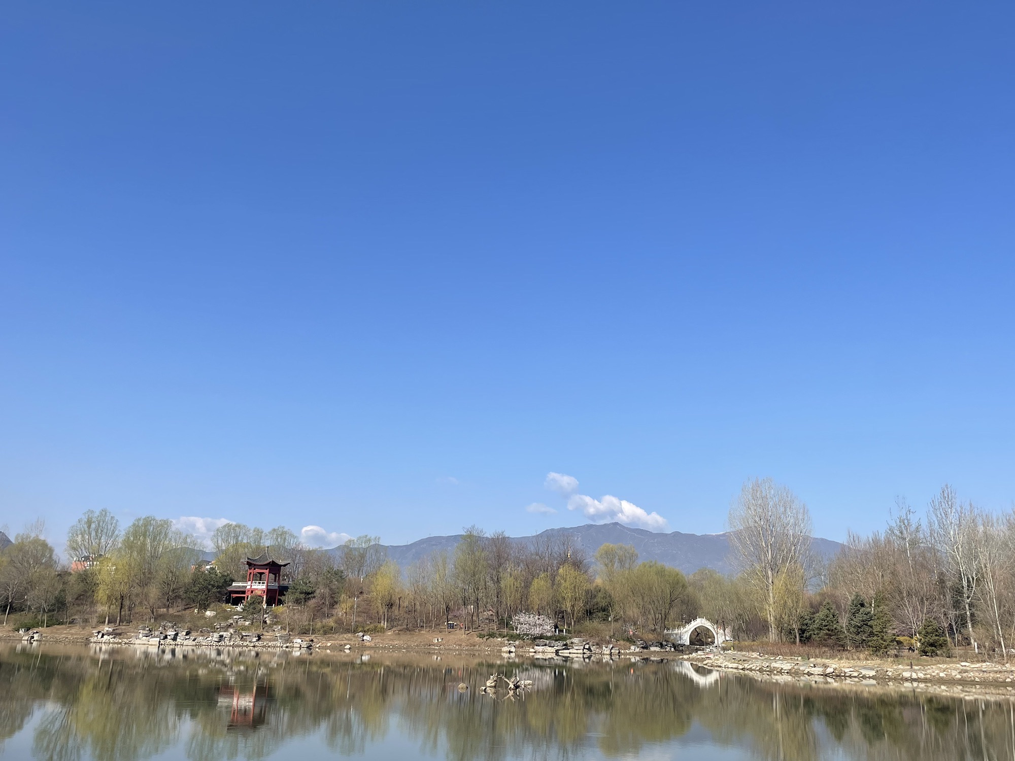 齐物潭旅行图片 3
