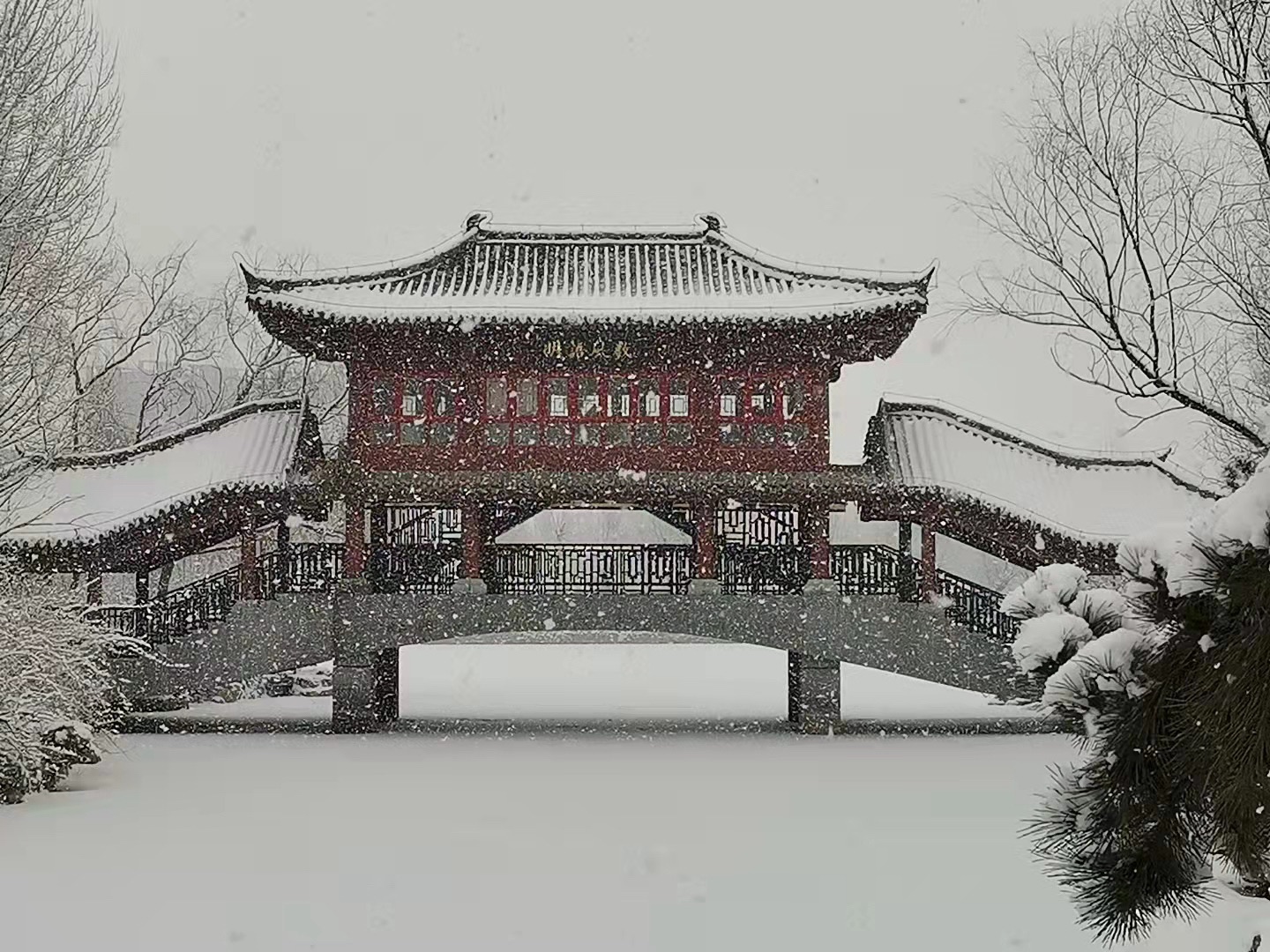 齐物潭旅行图片 1