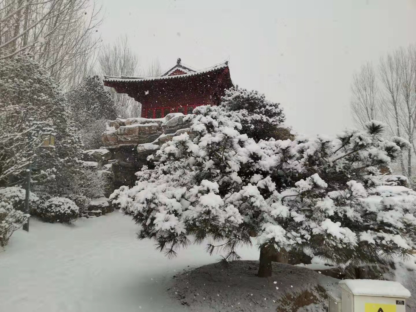 齐物潭旅行图片 2