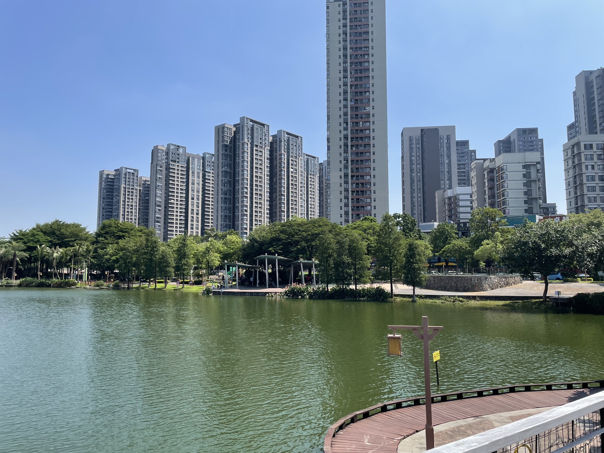 陈村公园旅行图片 1