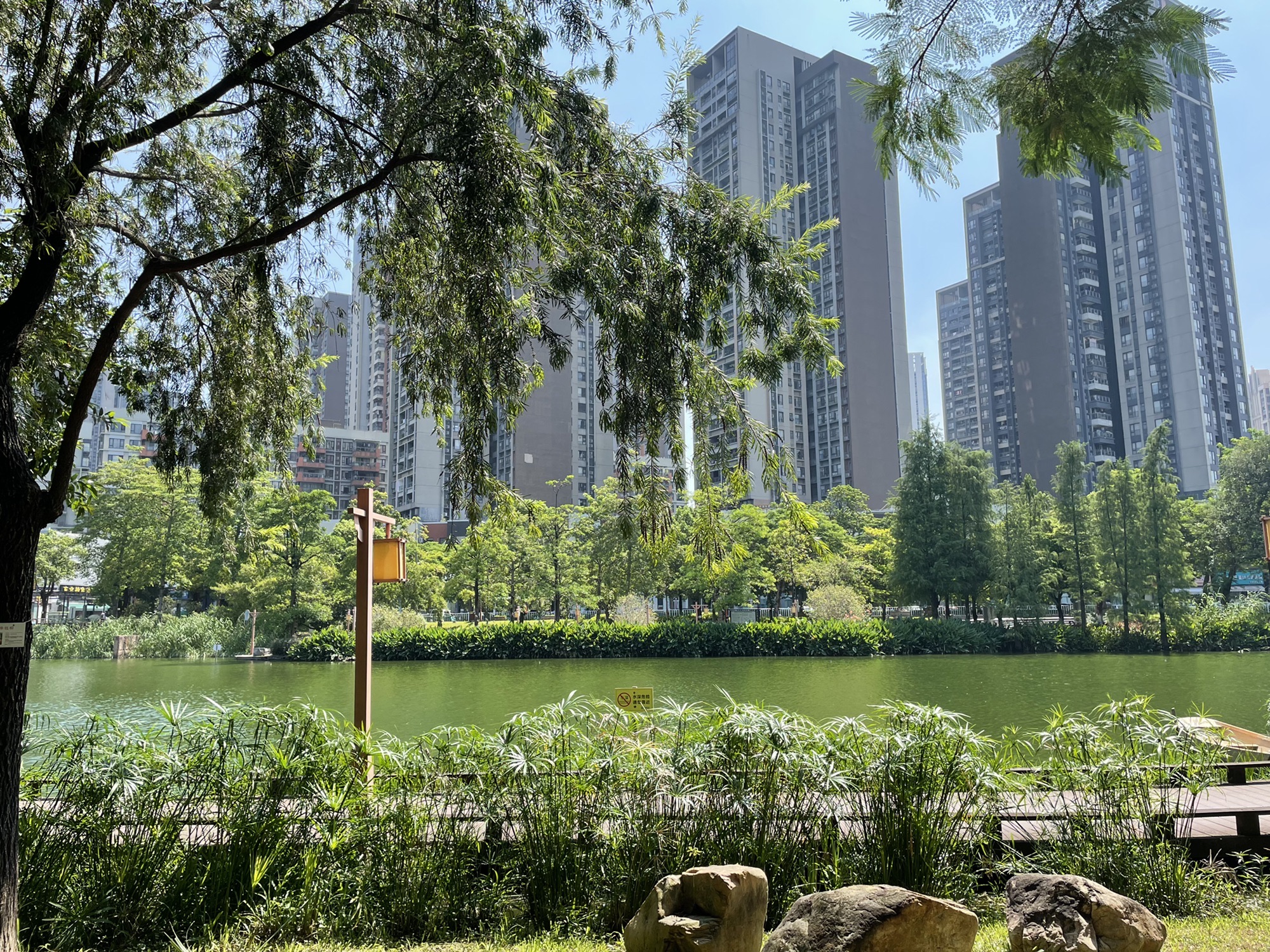 陈村公园旅行图片 2