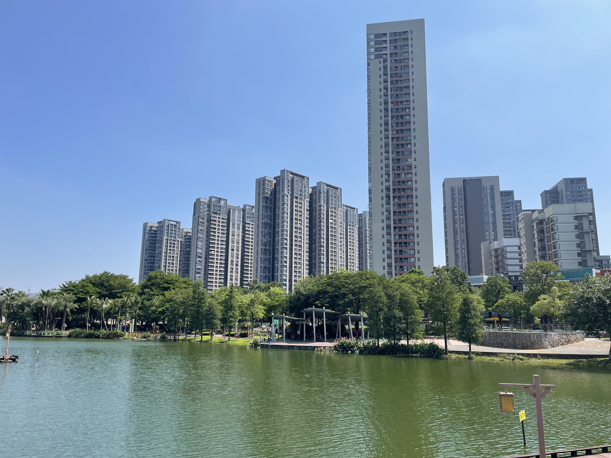 陈村公园旅行图片 3