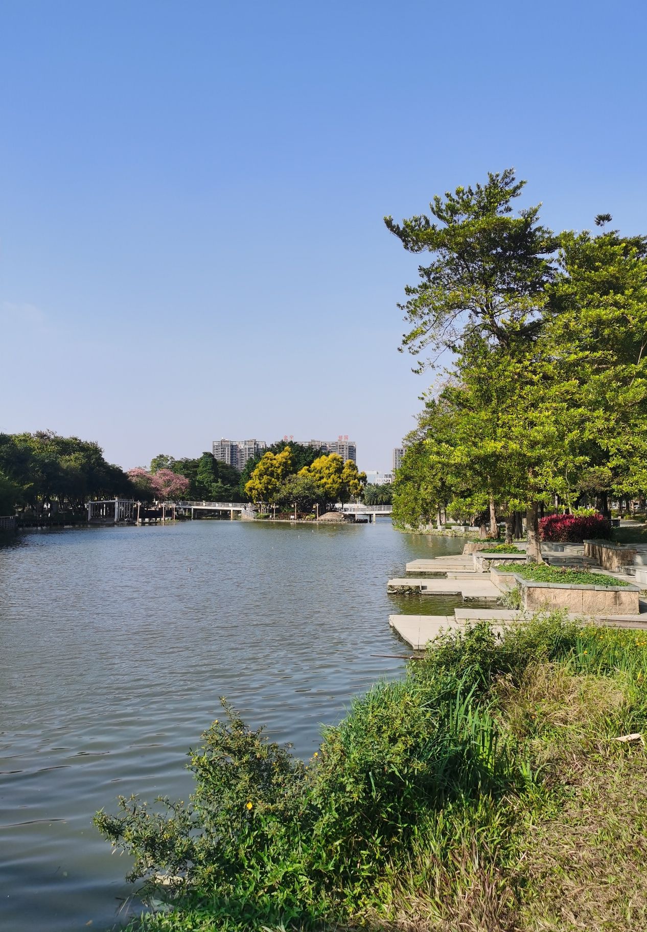 陈村公园旅行图片 2
