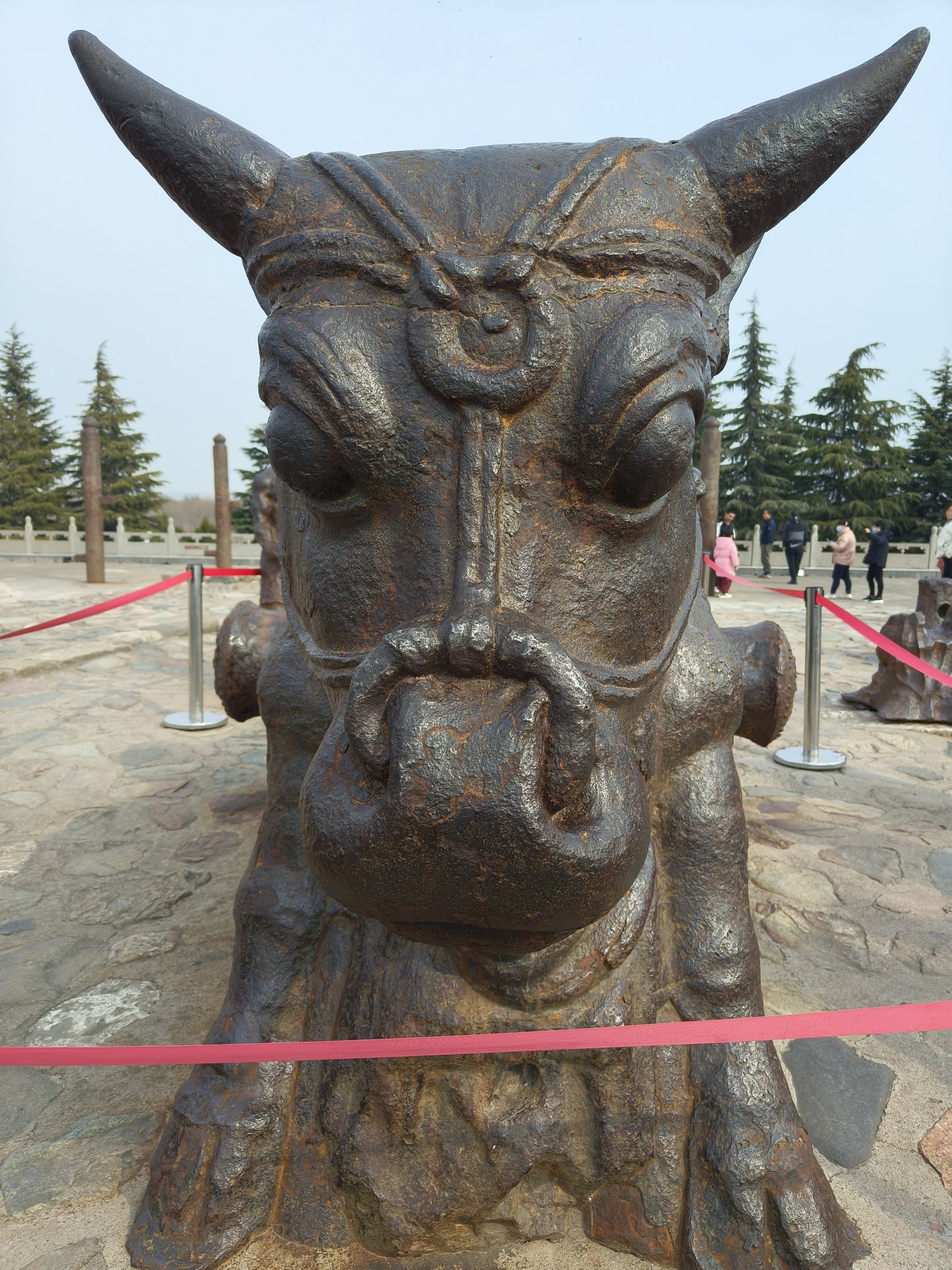 黄河大铁牛旅行图片 3
