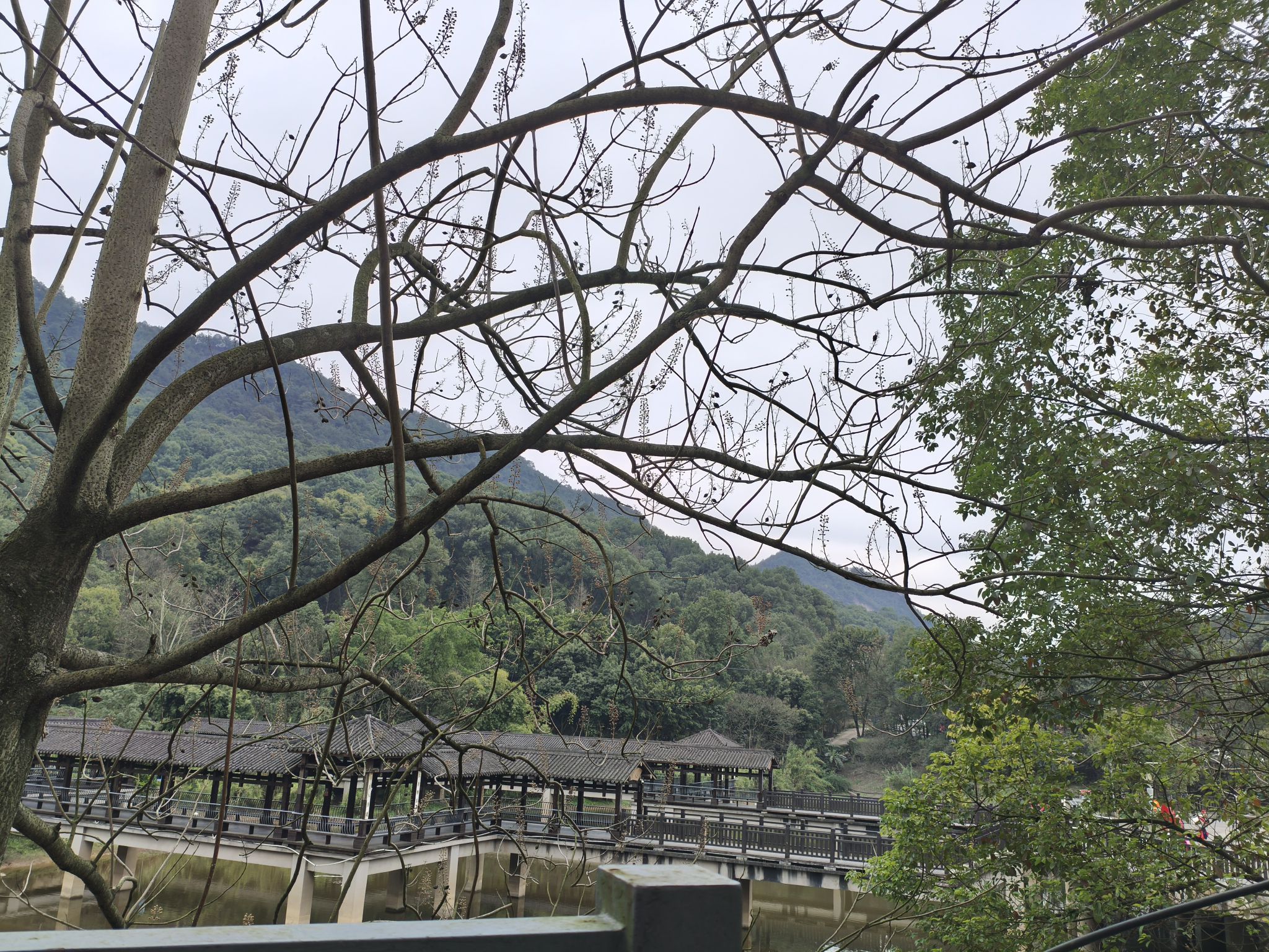 重庆白市驿森林公园旅行图片 2