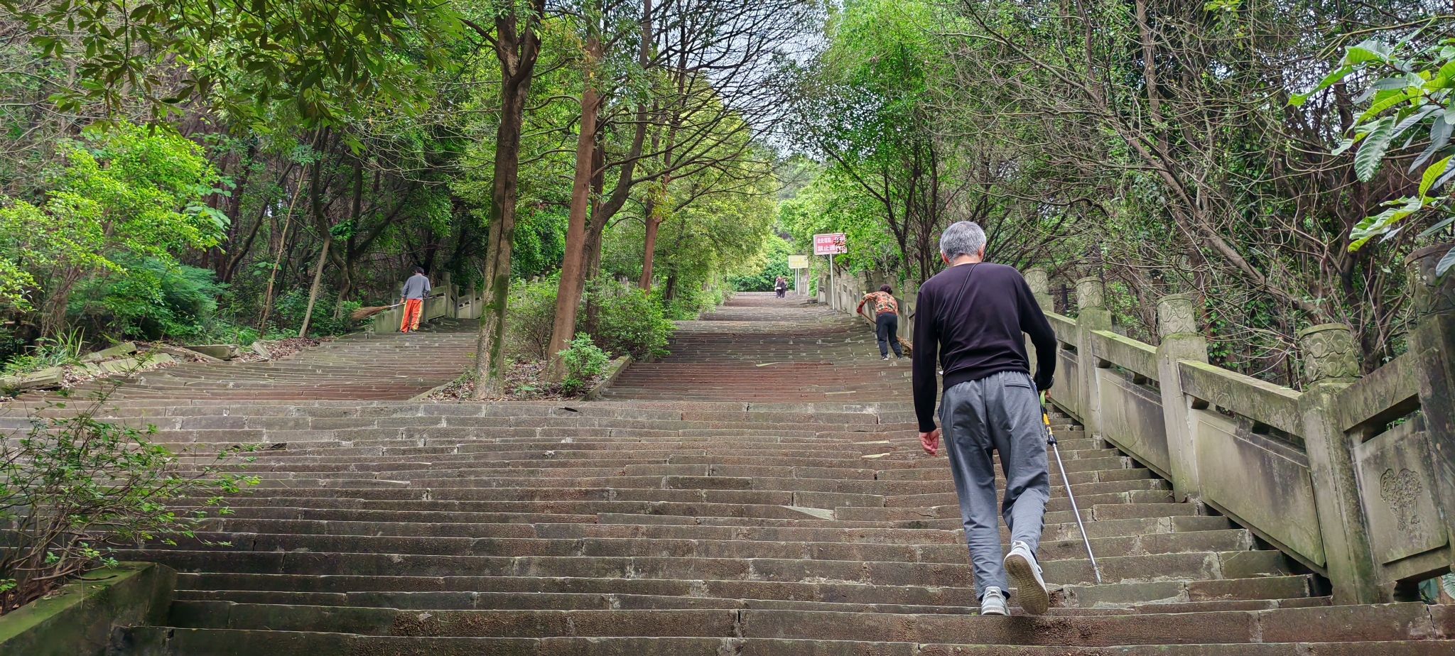 重庆白市驿森林公园旅行图片 3