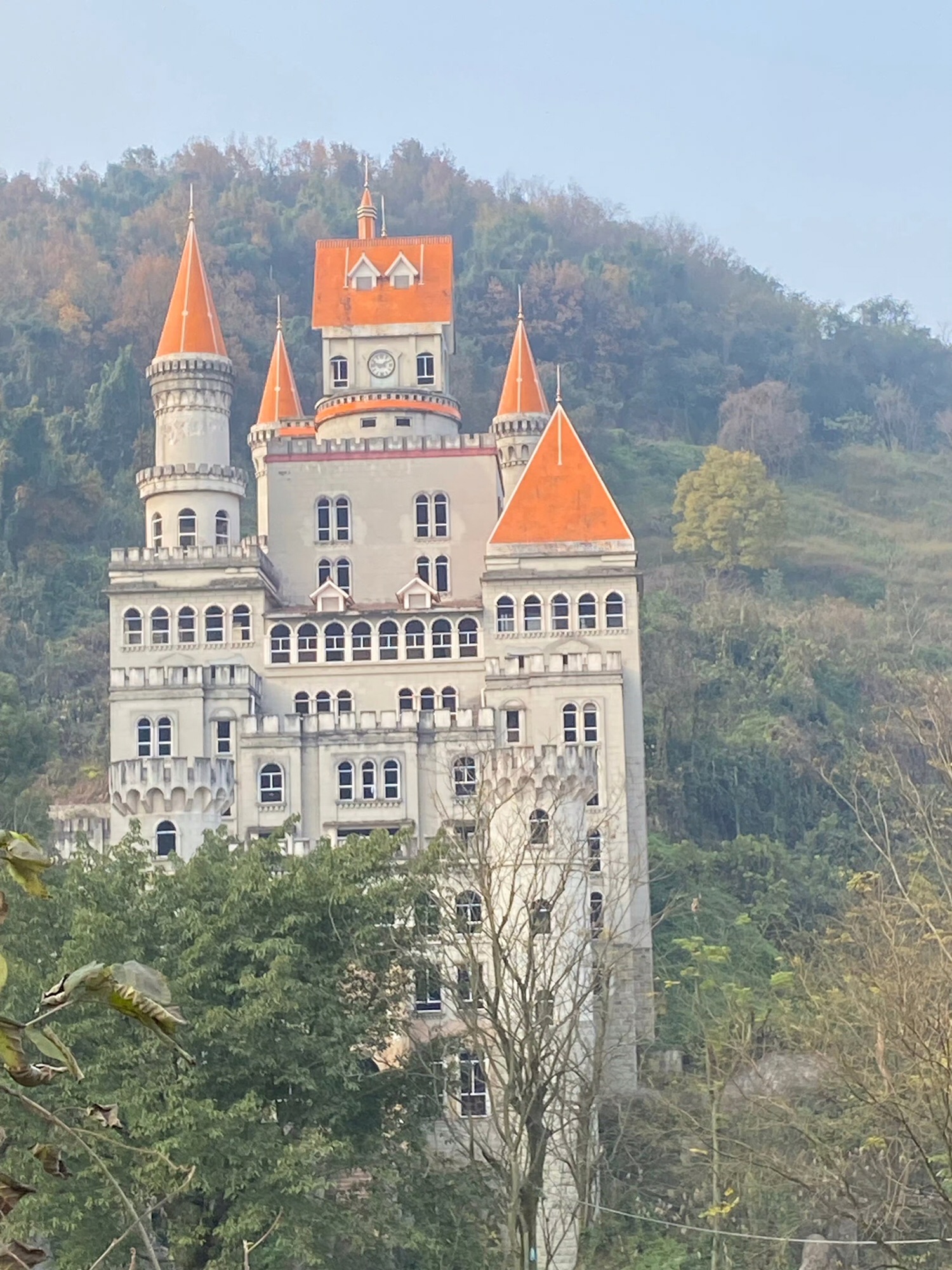 重庆白市驿森林公园旅行图片 1