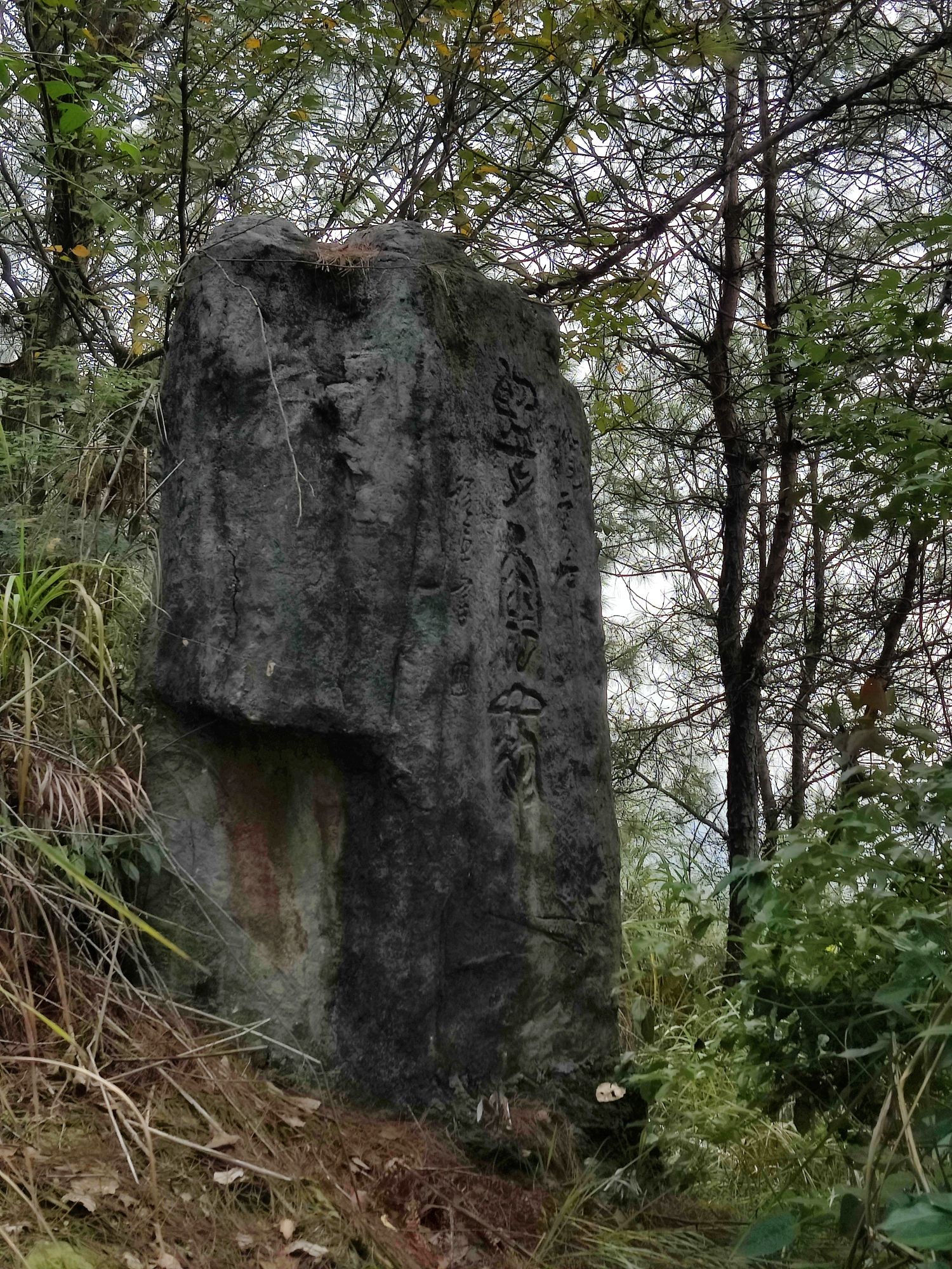 重庆白市驿森林公园旅行图片 3