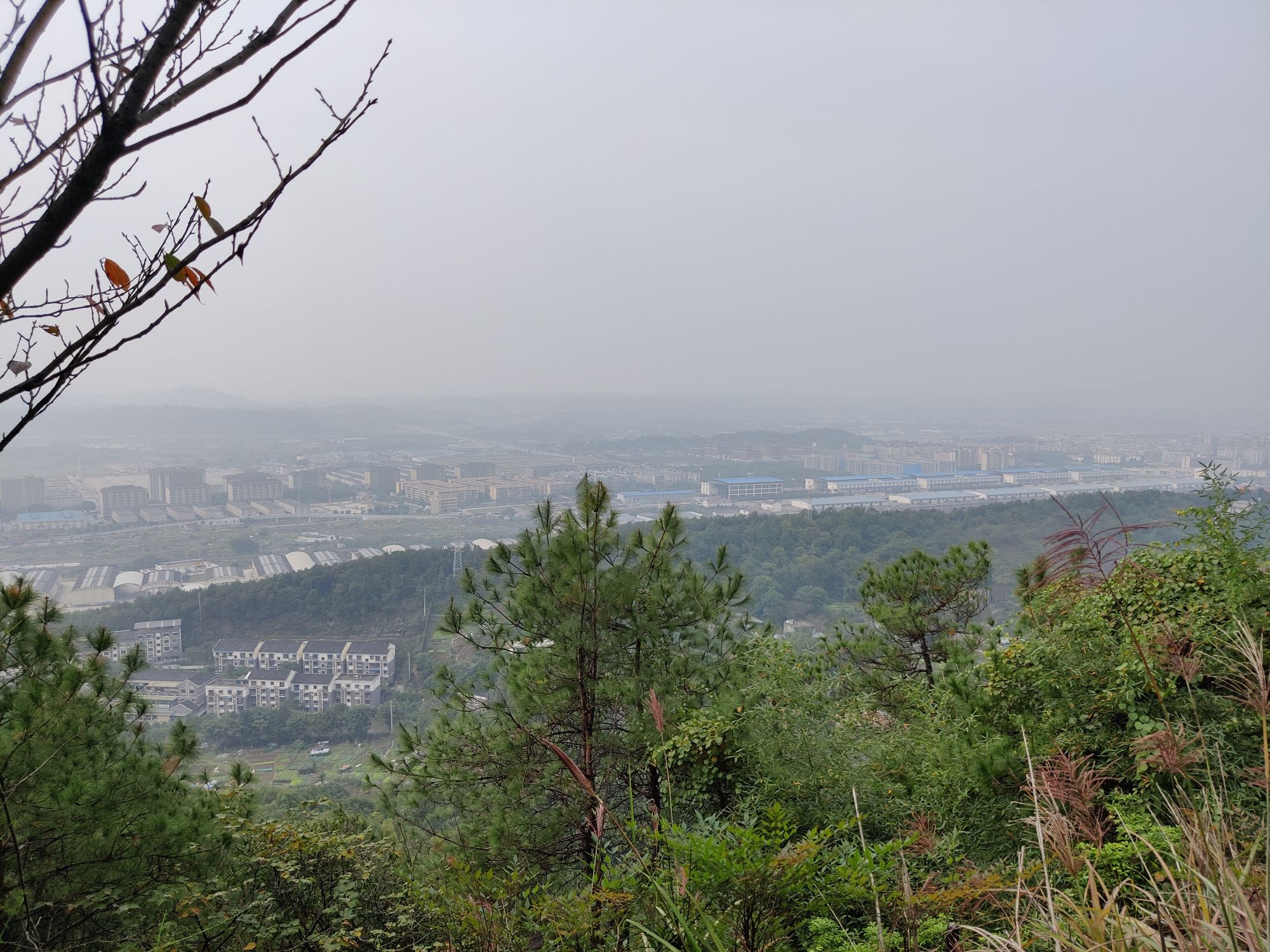 重庆白市驿森林公园旅行图片 2