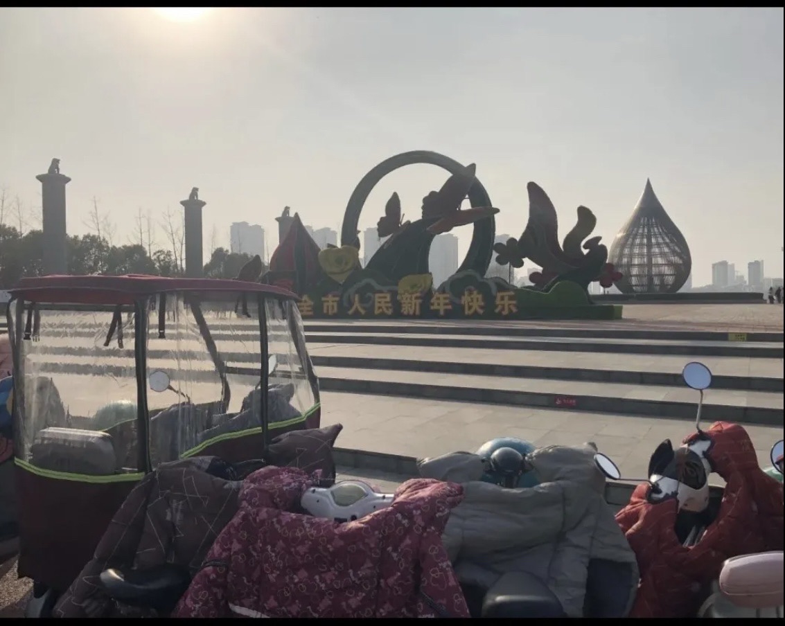 三角洲生态公园旅行图片 2