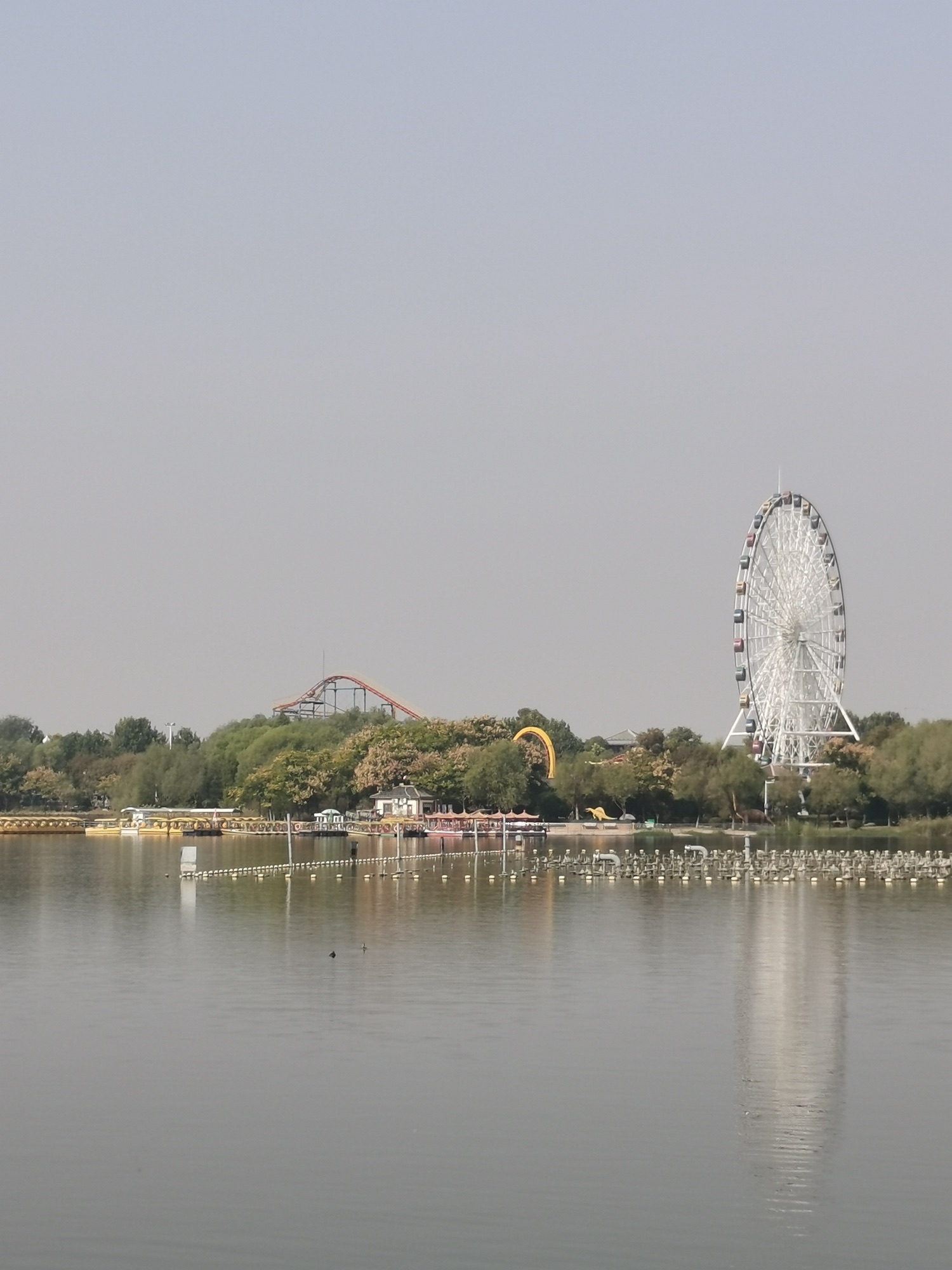 三角洲生态公园旅行图片 1