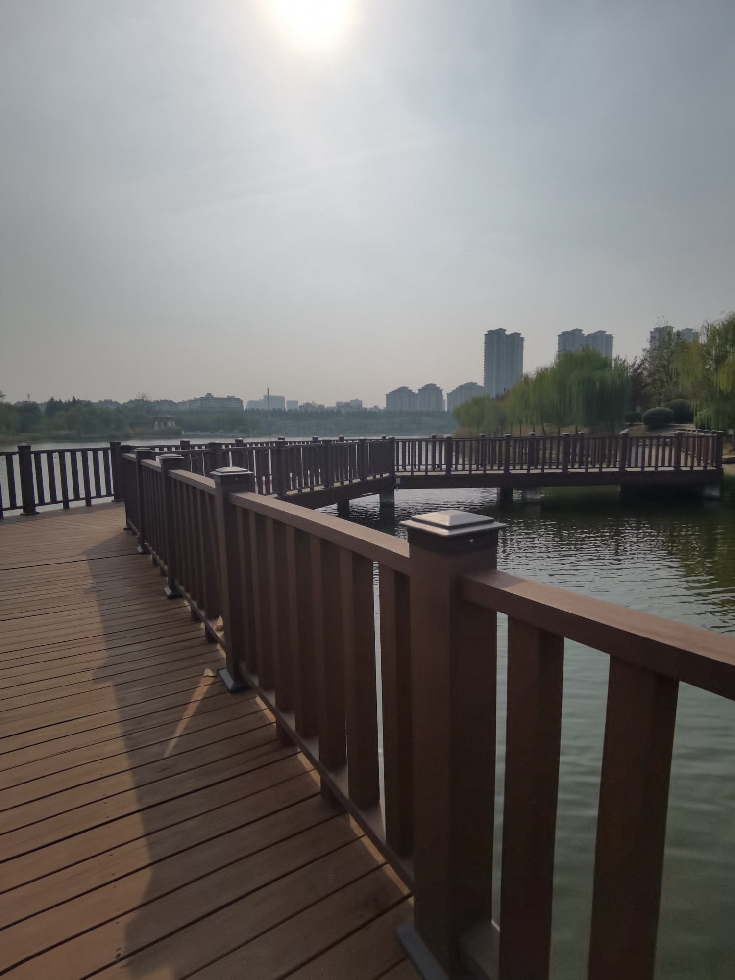 三角洲生态公园旅行图片 2