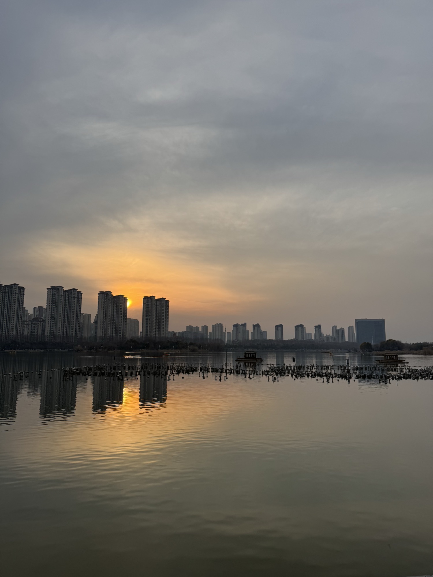 三角洲生态公园旅行图片 1
