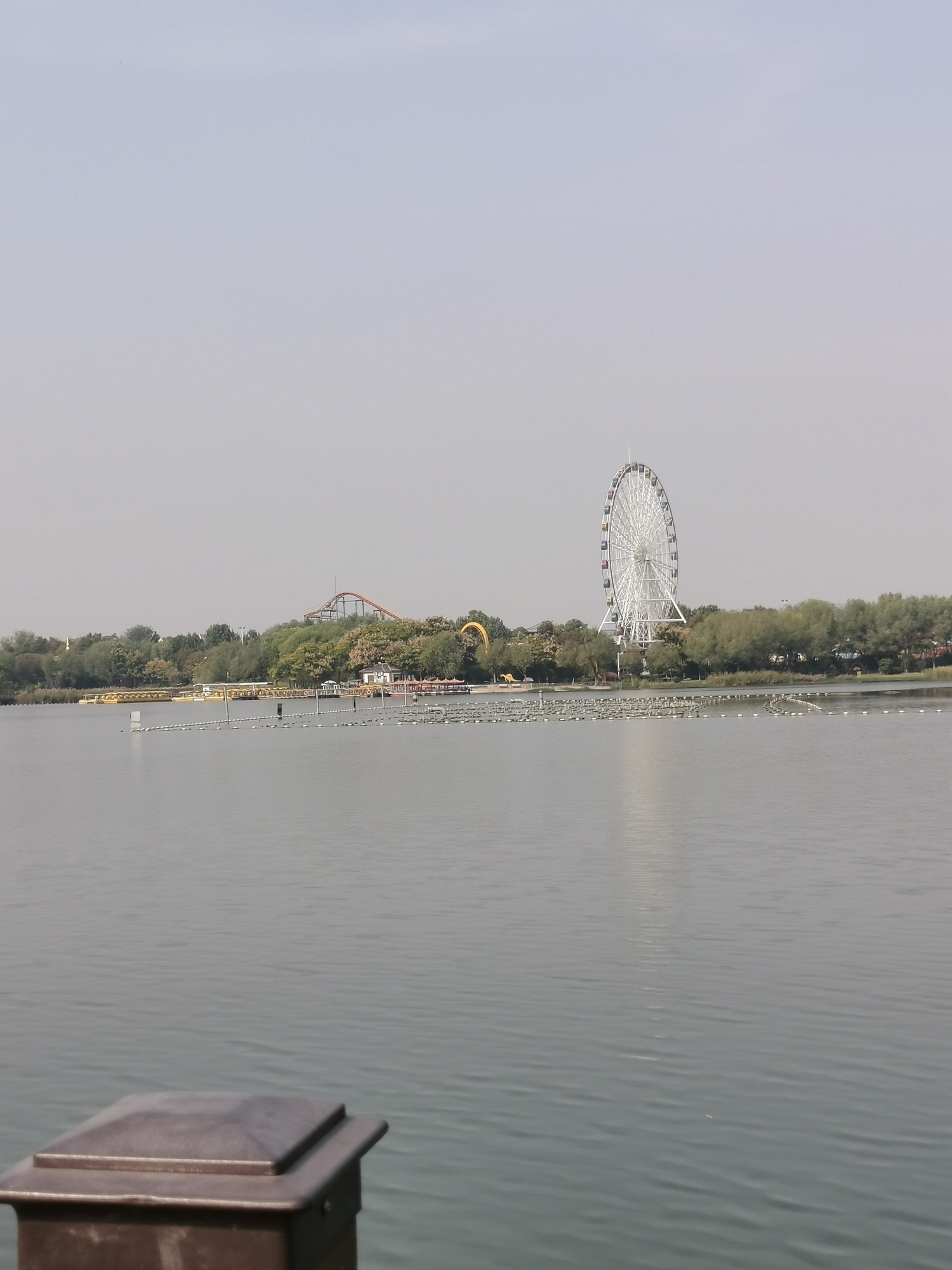 三角洲生态公园旅行图片 3