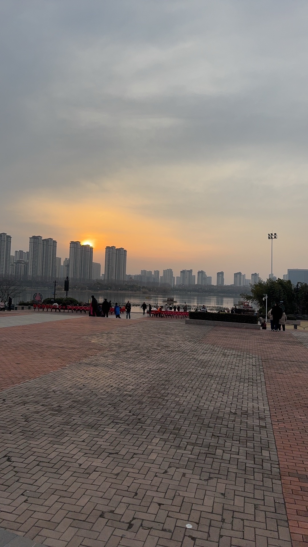 三角洲生态公园旅行图片 2