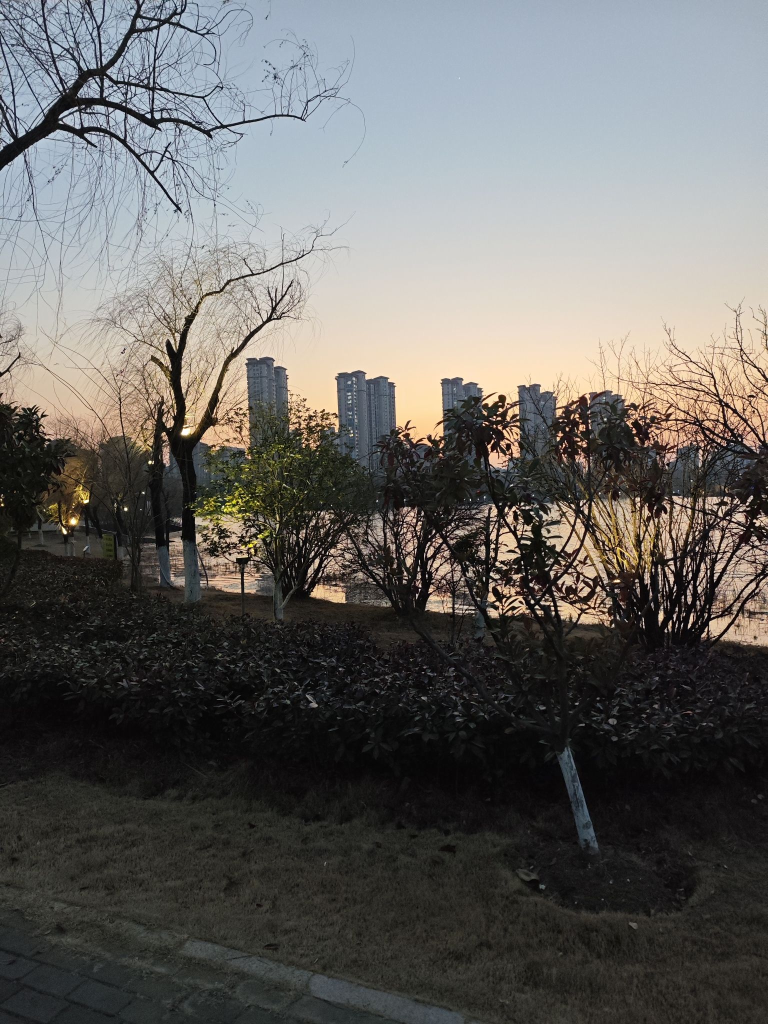 三角洲生态公园旅行图片 1