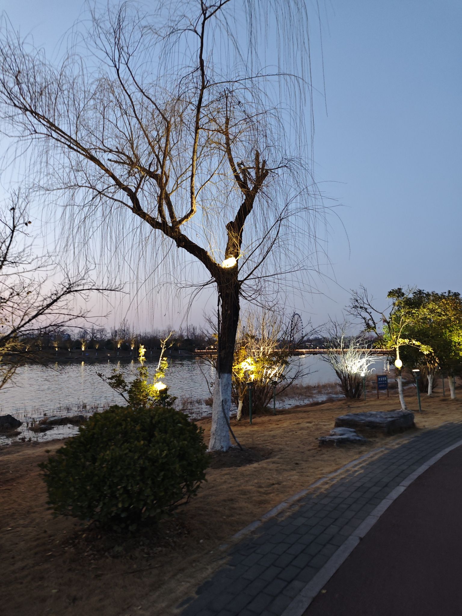 三角洲生态公园旅行图片 2