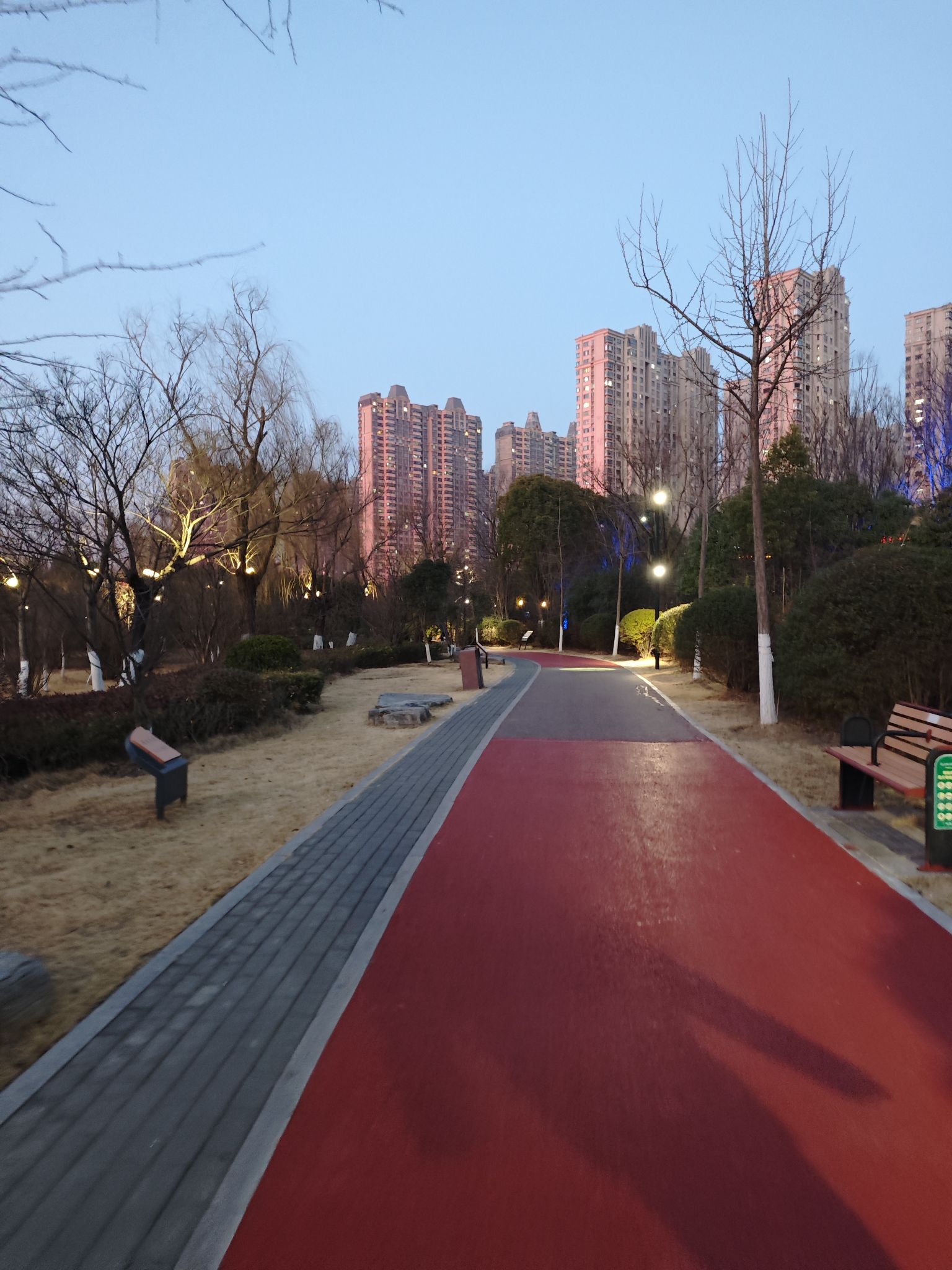 三角洲生态公园旅行图片 3
