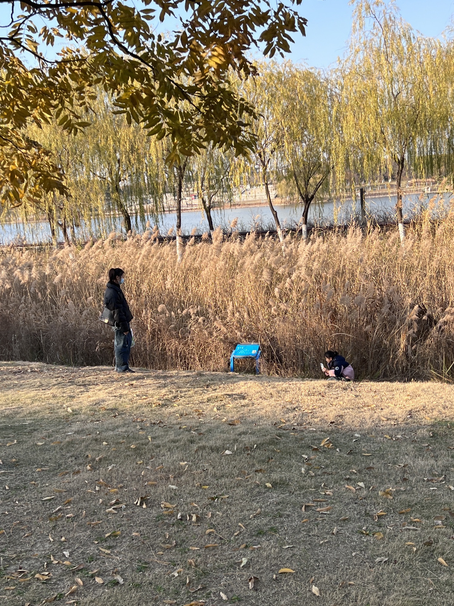 三角洲生态公园旅行图片 1