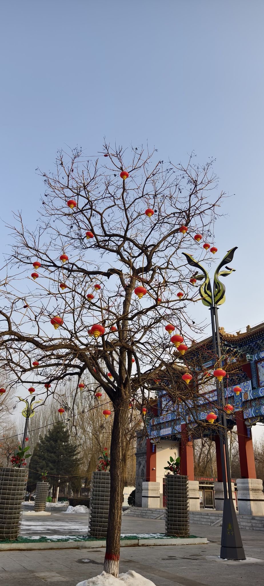 清宁公园旅行图片 2