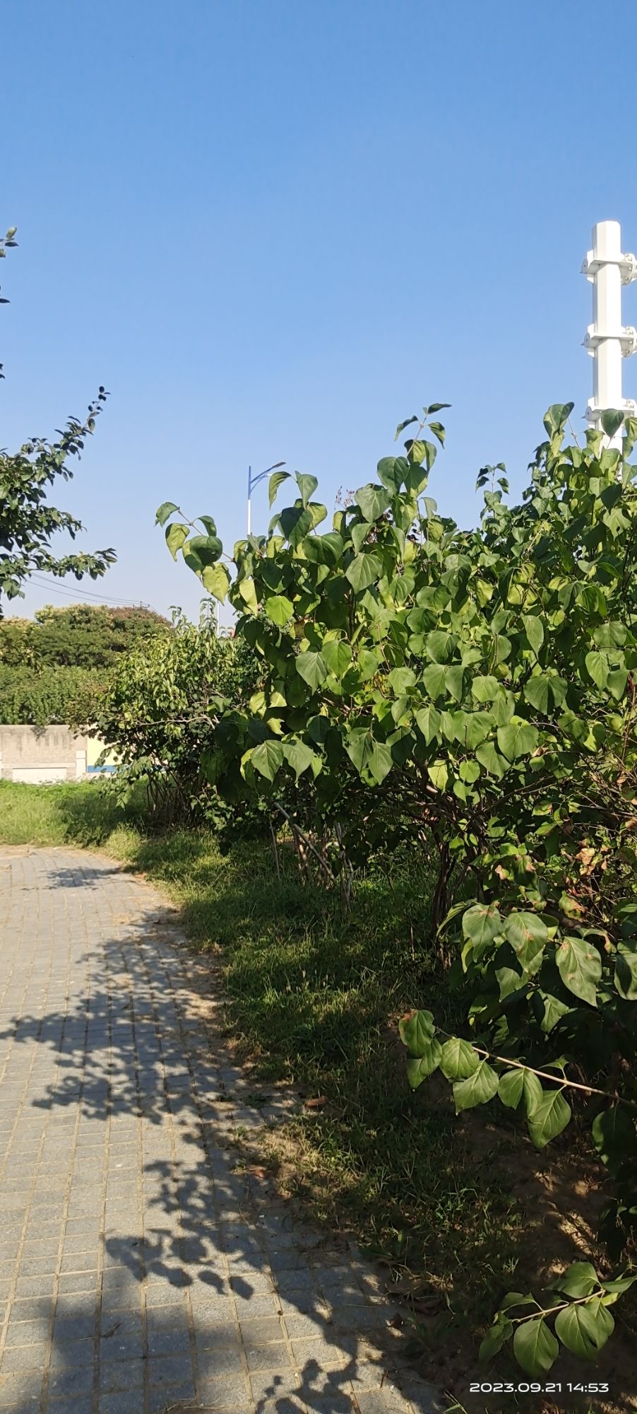 刘火新庄乡村和谐园旅行图片 2