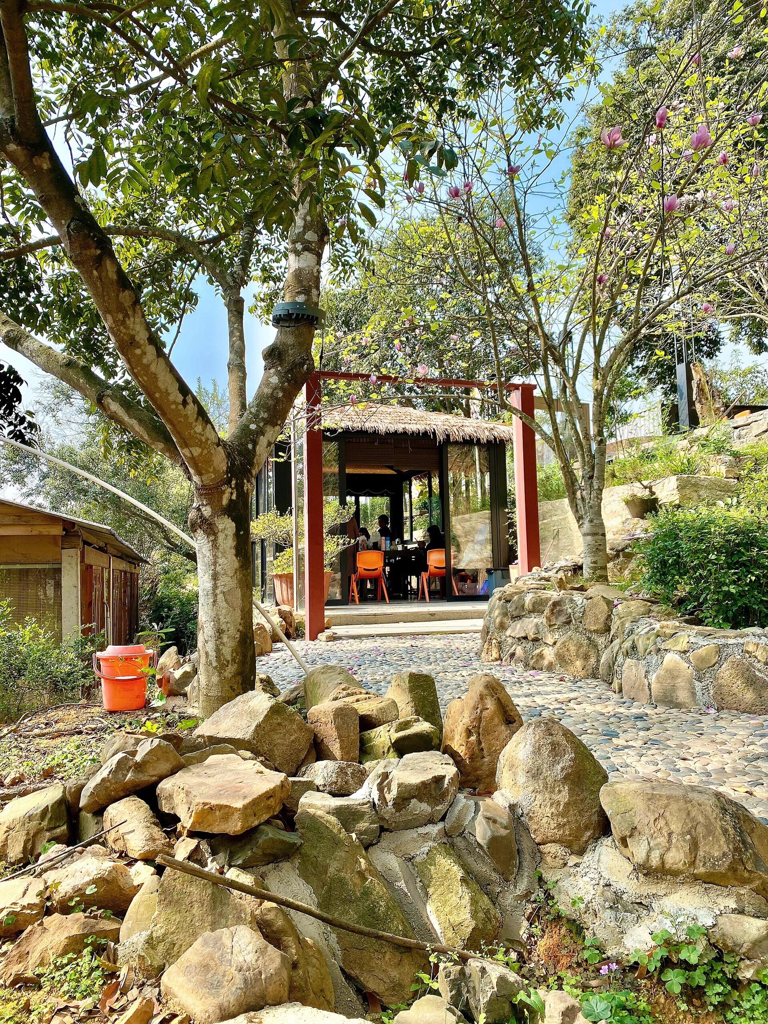 铁铺镇新果林农庄