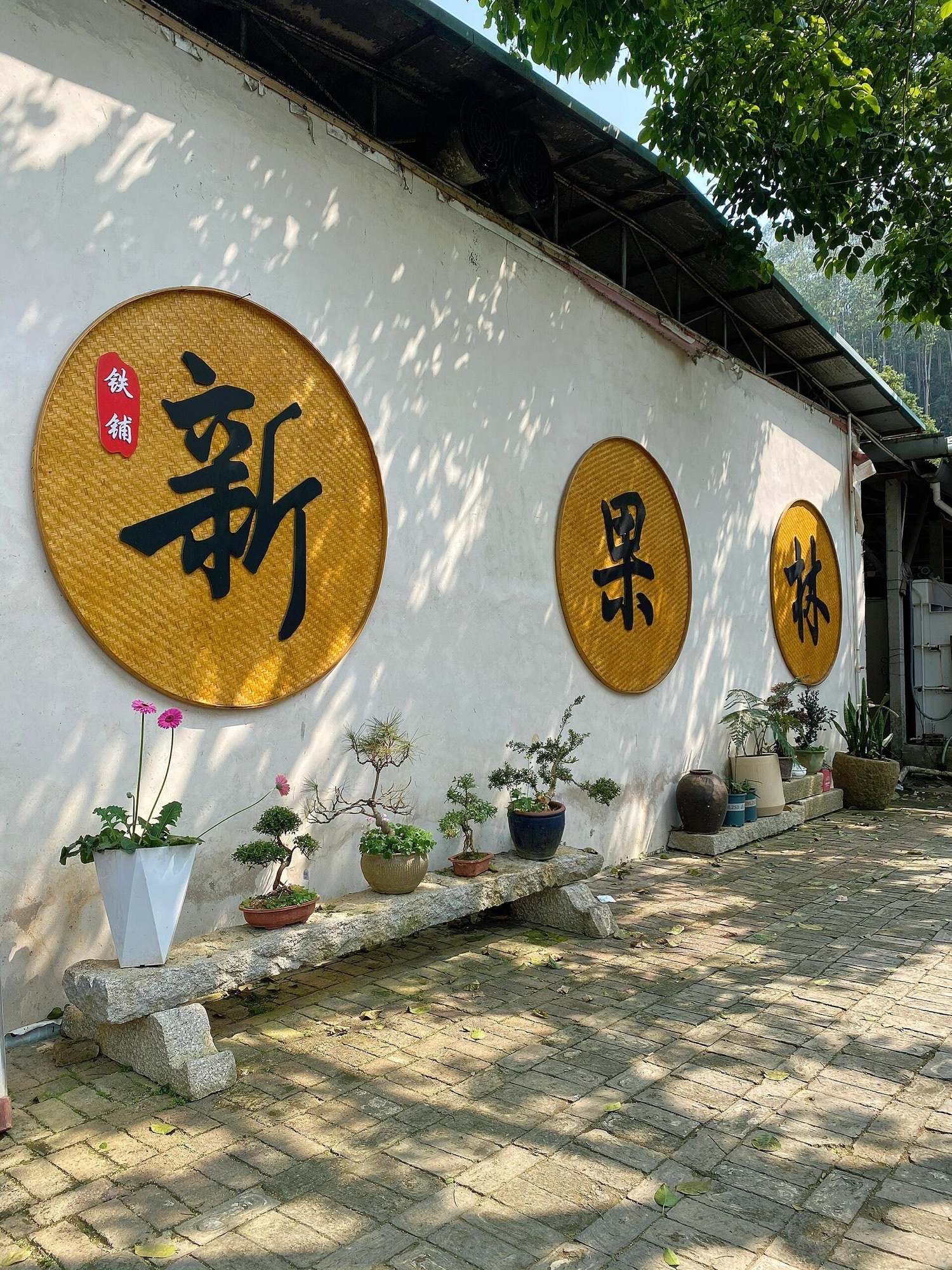 铁铺镇新果林农庄