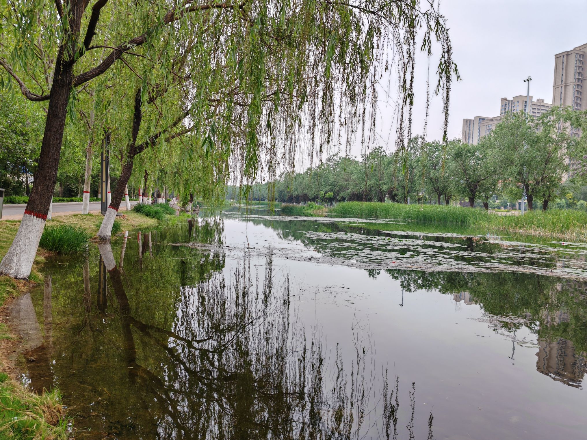 小湄河公园旅行图片 1