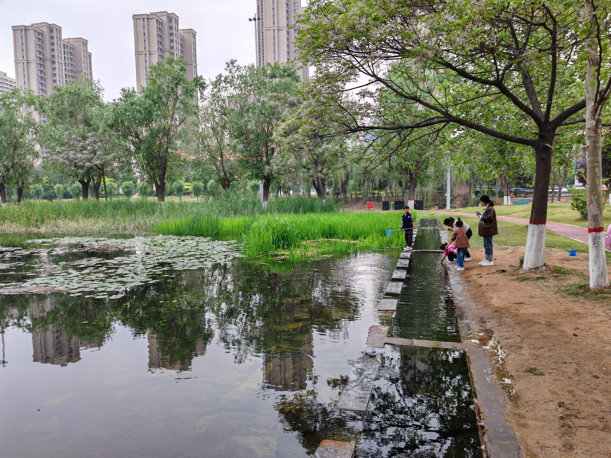 小湄河公园旅行图片 2