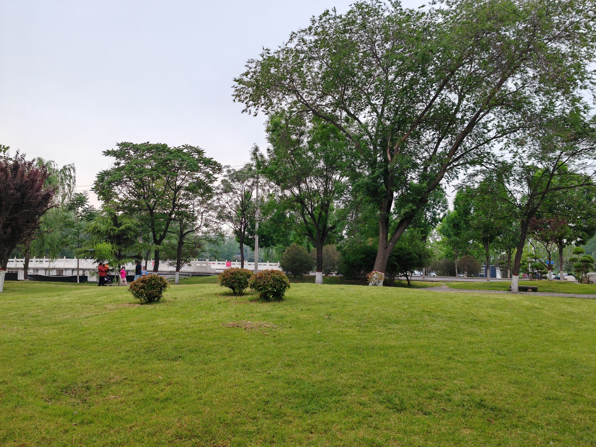 小湄河公园旅行图片 3