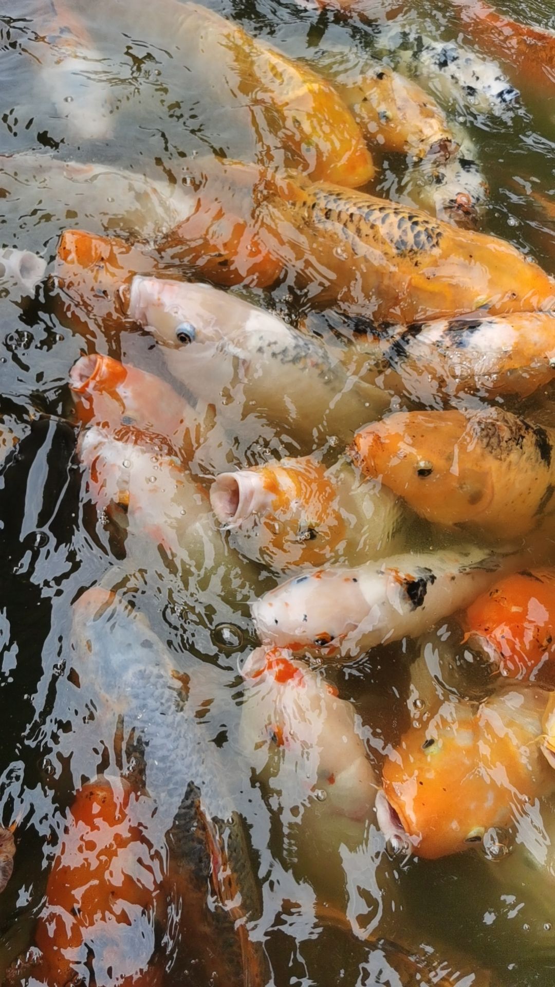 唐荆川先生读书处坊旅行图片 3