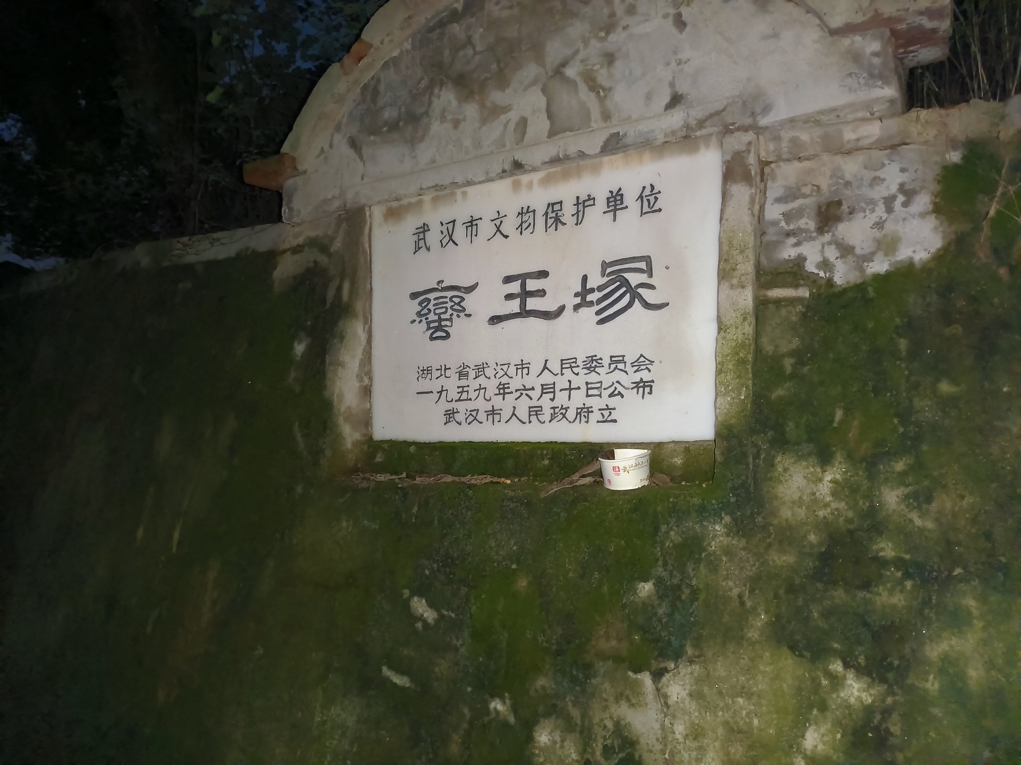 蛮王之墓旅行图片 2