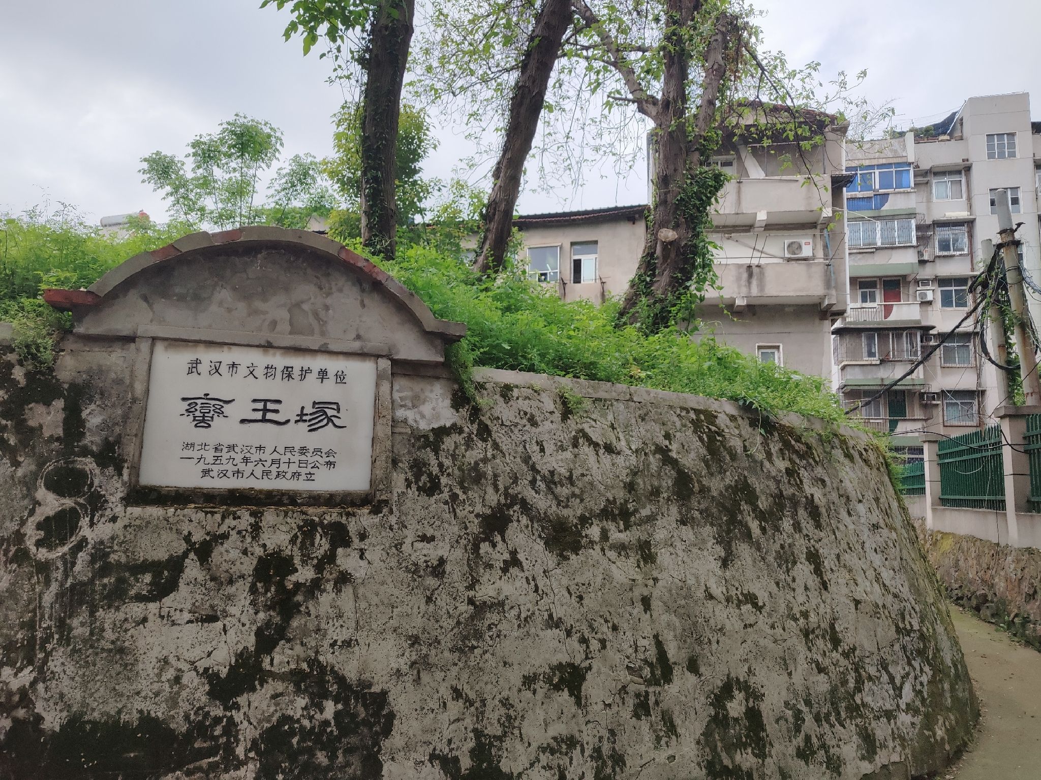 蛮王之墓旅行图片 1