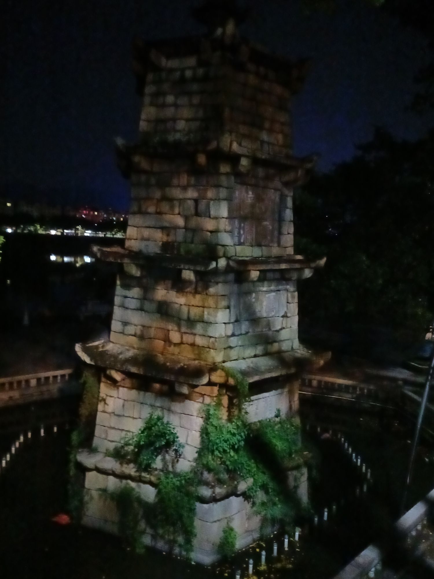 雁塔旅行图片 3
