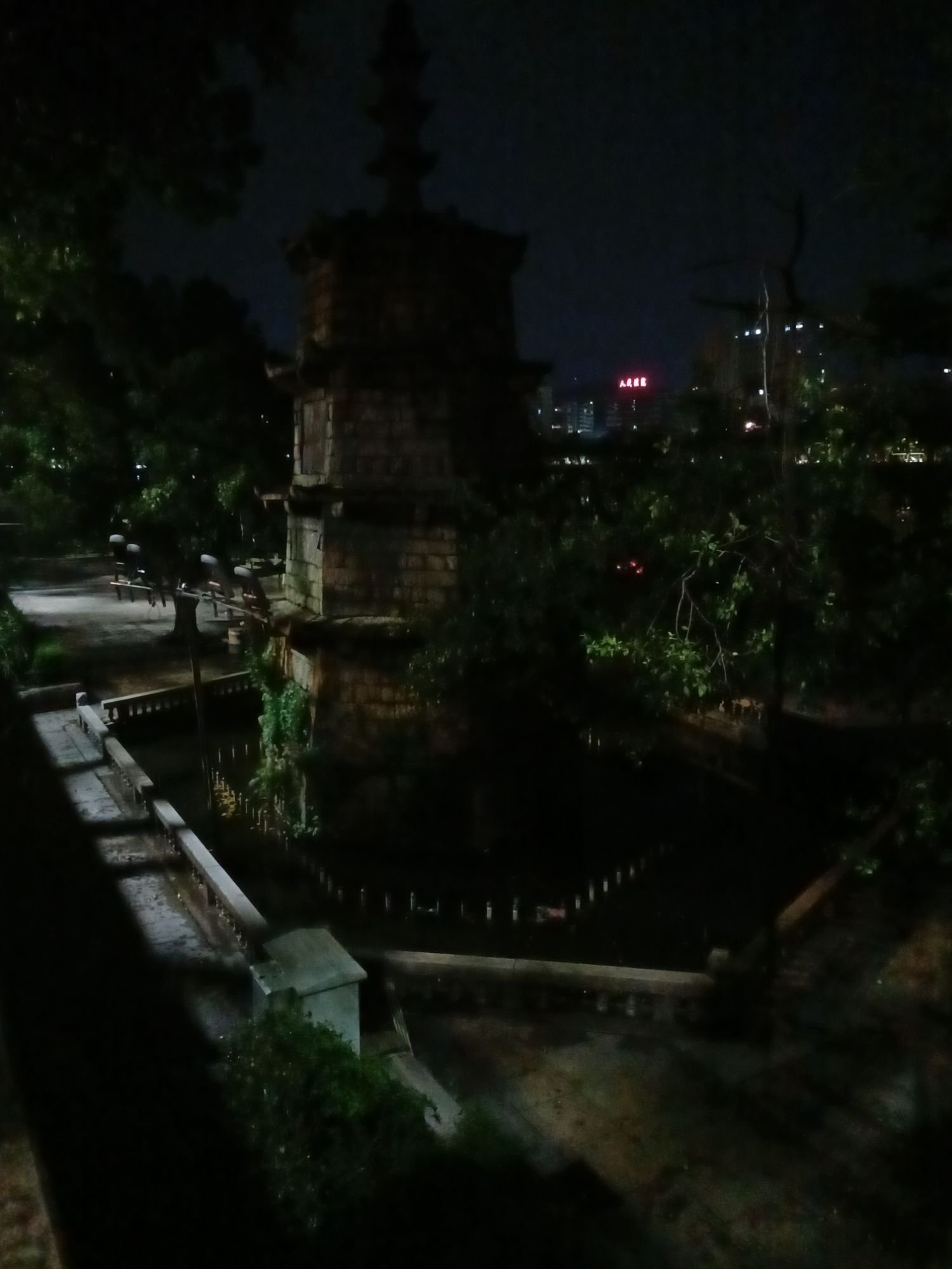 雁塔旅行图片 1